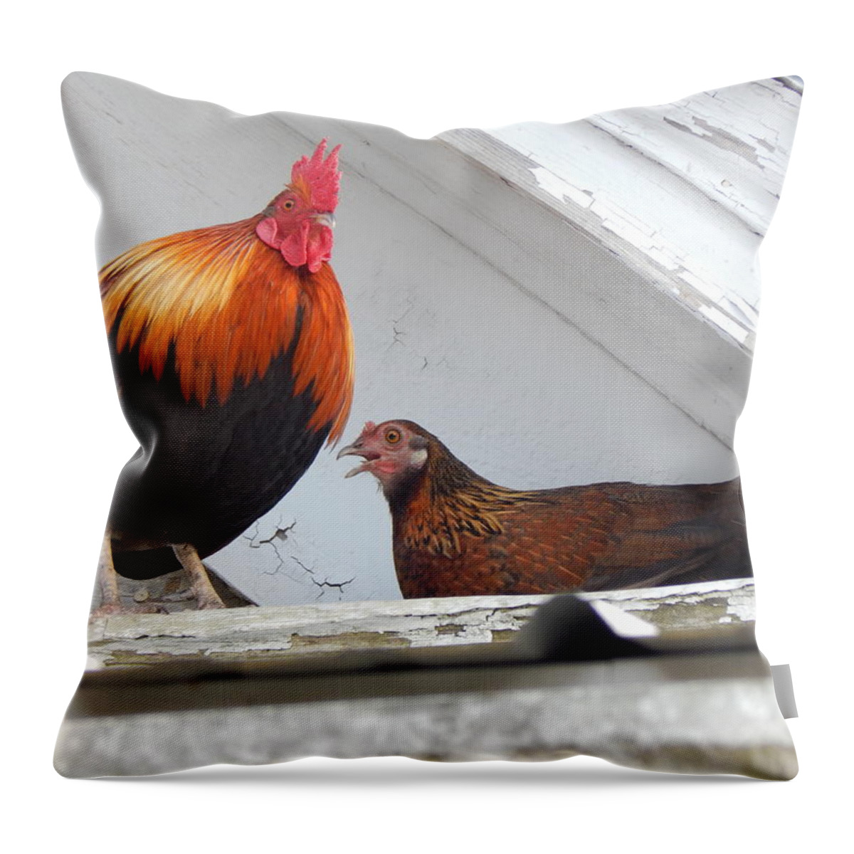 Rooster Throw Pillow featuring the photograph Up On The Roof by Jan Gelders