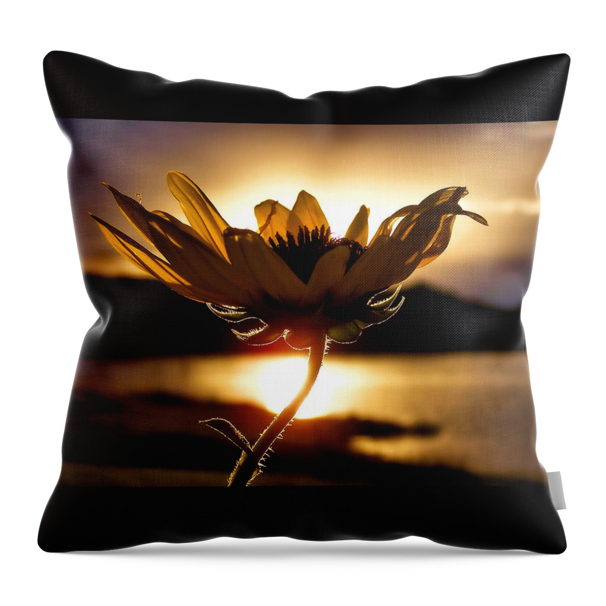 Flower Throw Pillow featuring the photograph Uplifting by Karen Scovill