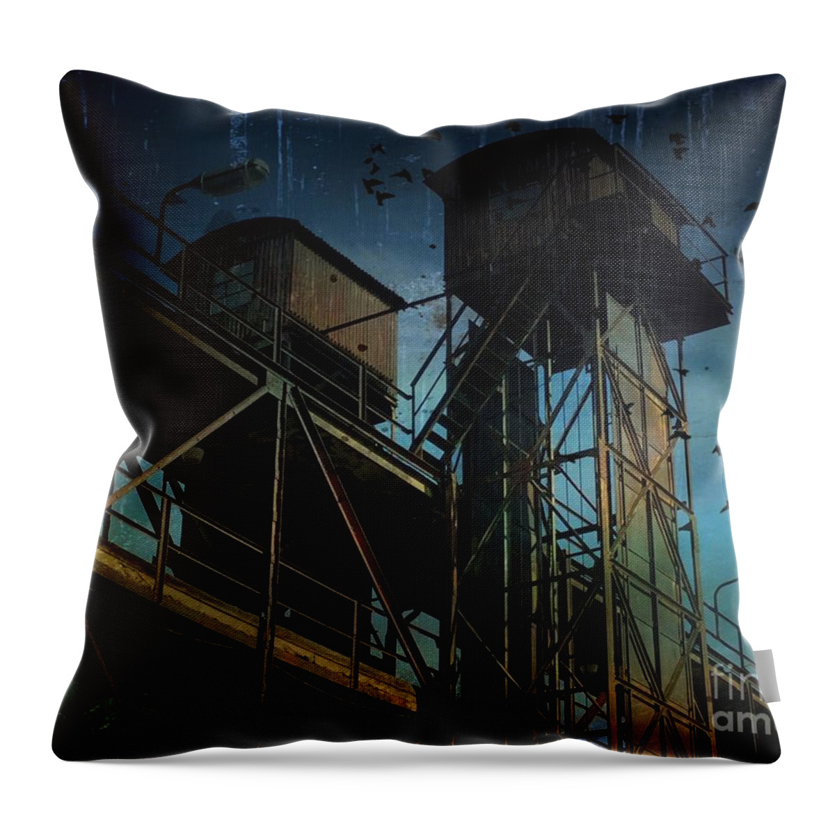 Photography Throw Pillow featuring the photograph Urban past by Ivana Westin