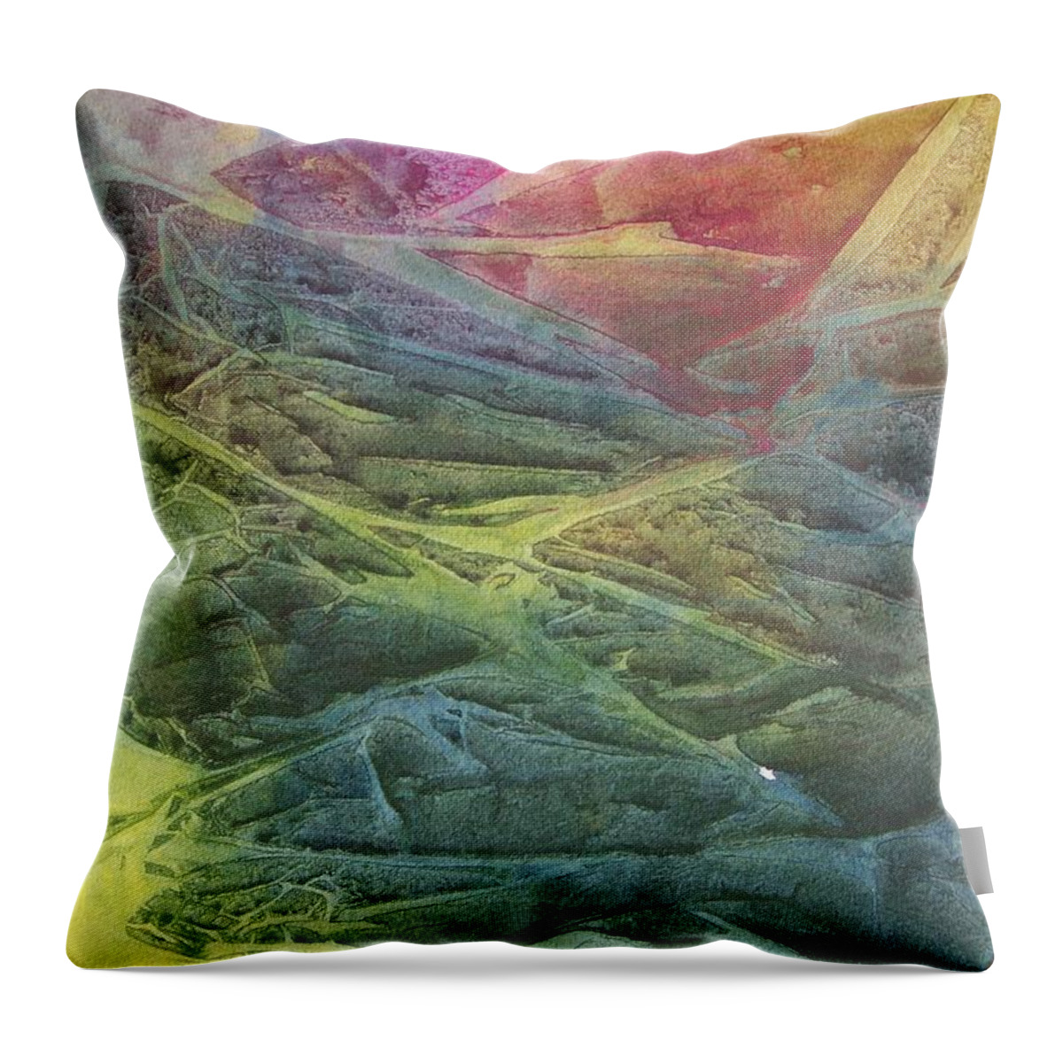 Colors Throw Pillow featuring the painting Vaarn by Jackie Mueller-Jones