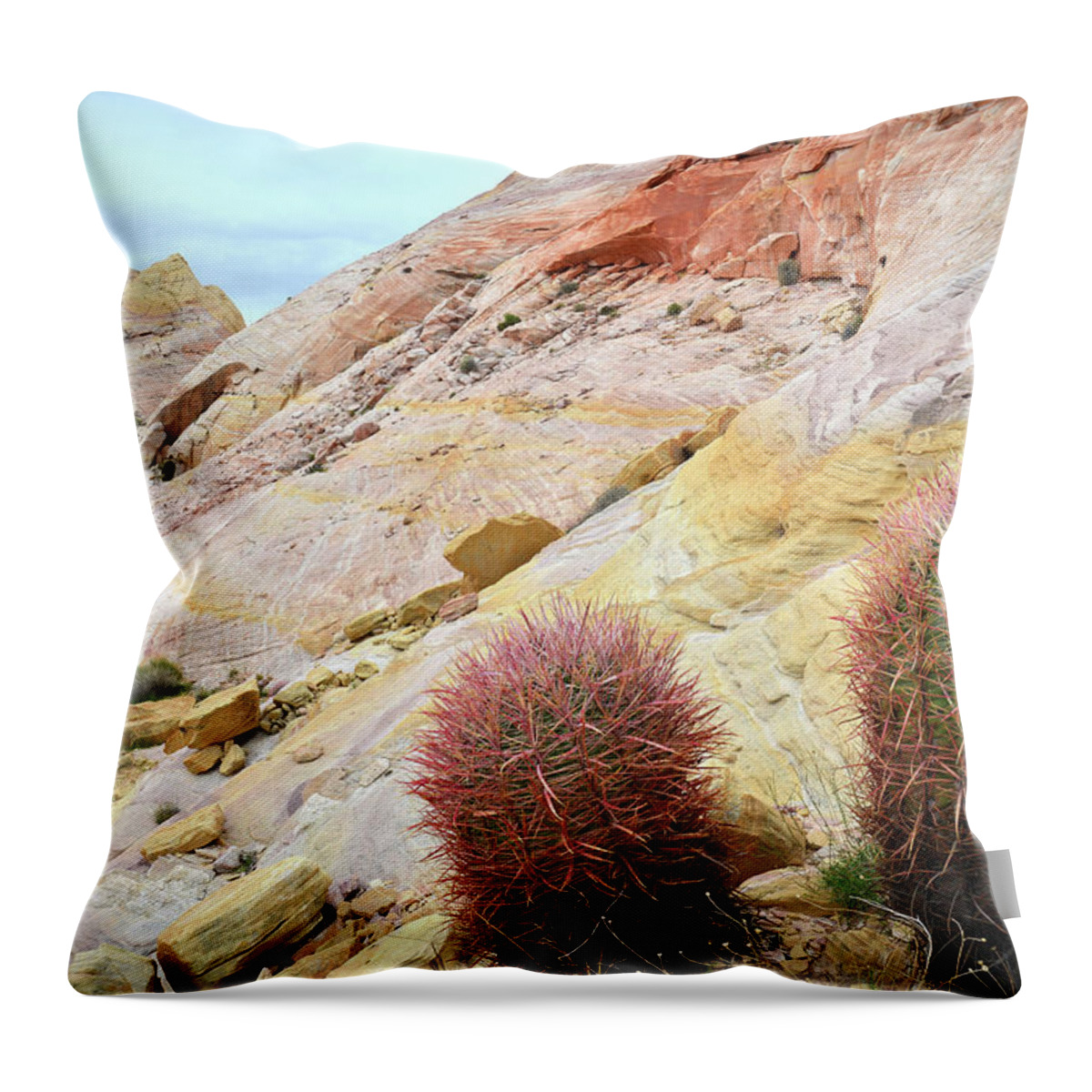 Valley Of Fire State Park Throw Pillow featuring the photograph Valley of Fire Barrel Cactus by Ray Mathis
