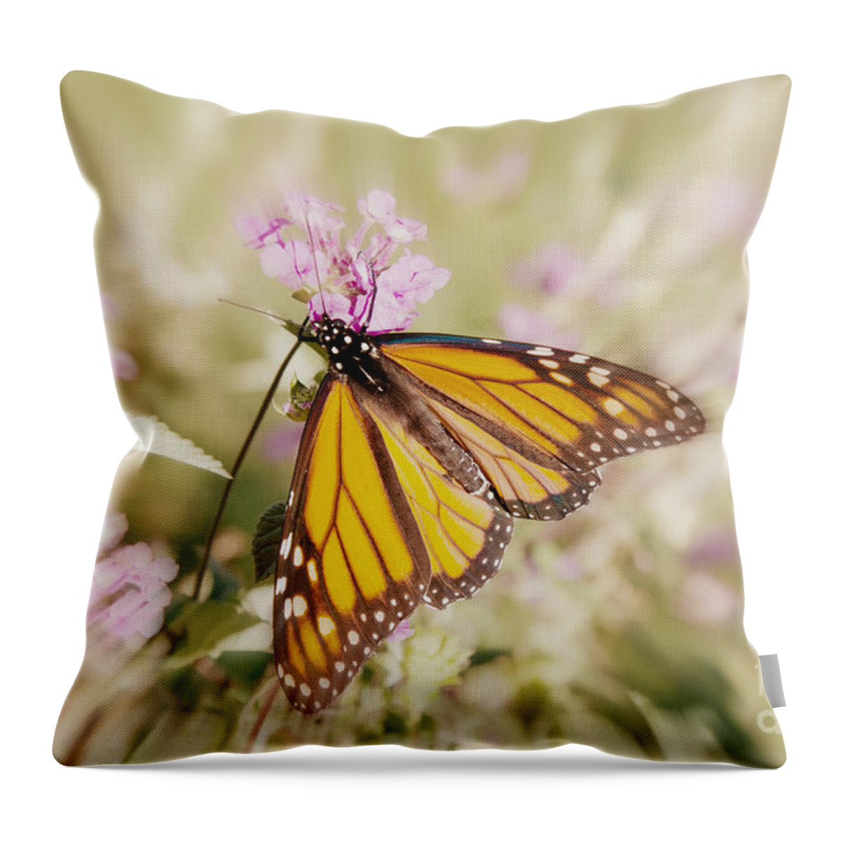 Butterfly Throw Pillow featuring the photograph Vanishing Species 3 by Chris Scroggins