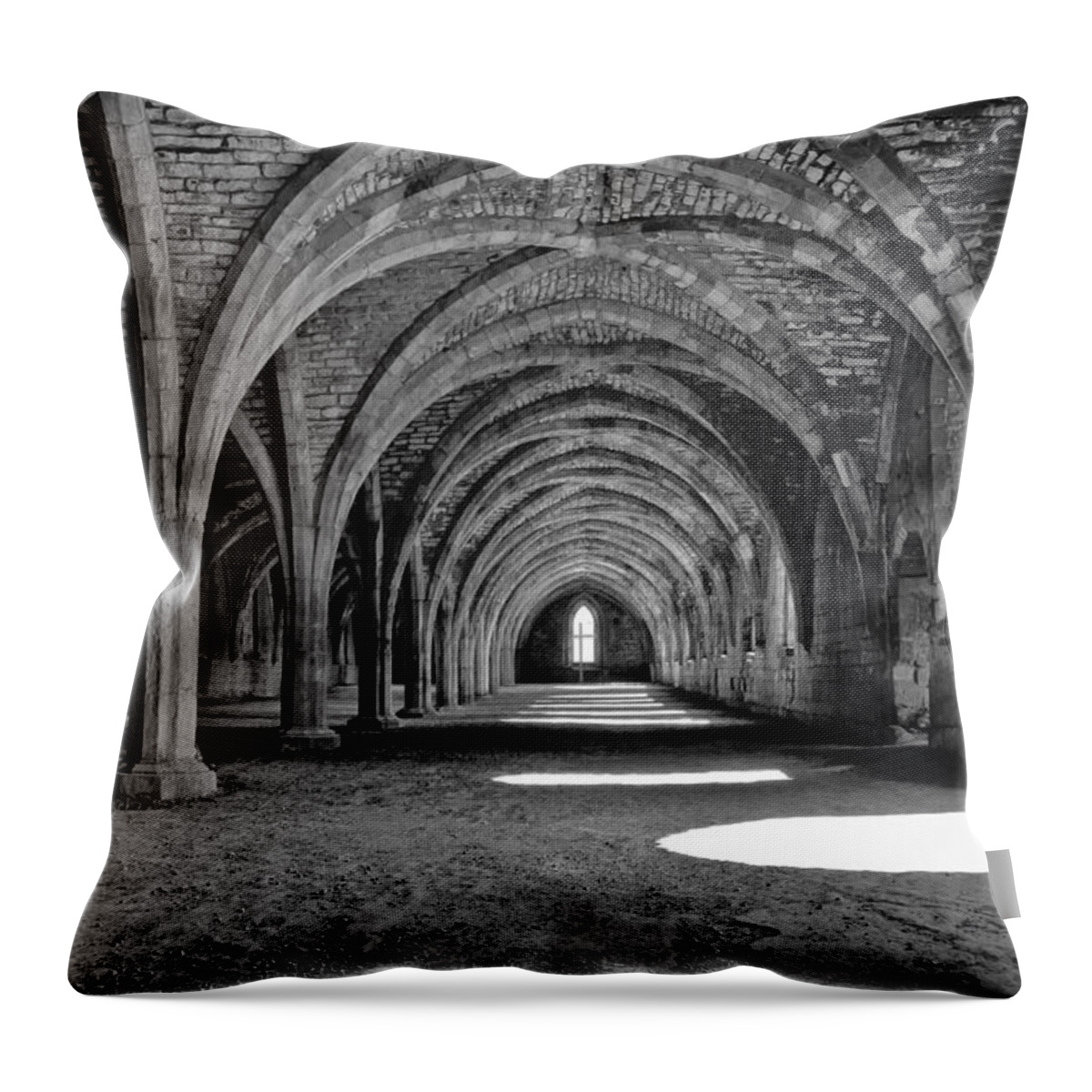 Monochrome Photography Throw Pillow featuring the photograph Vaults. by Elena Perelman