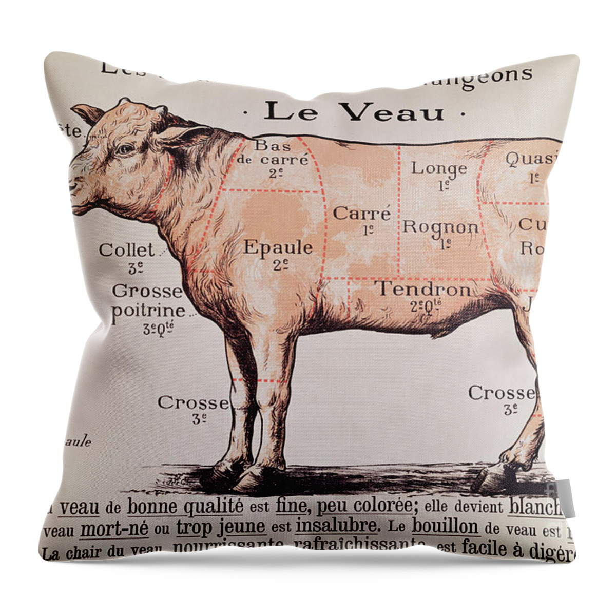Veal Diagram depicting the different cuts of meat Throw Pillow by French  School - Fine Art America