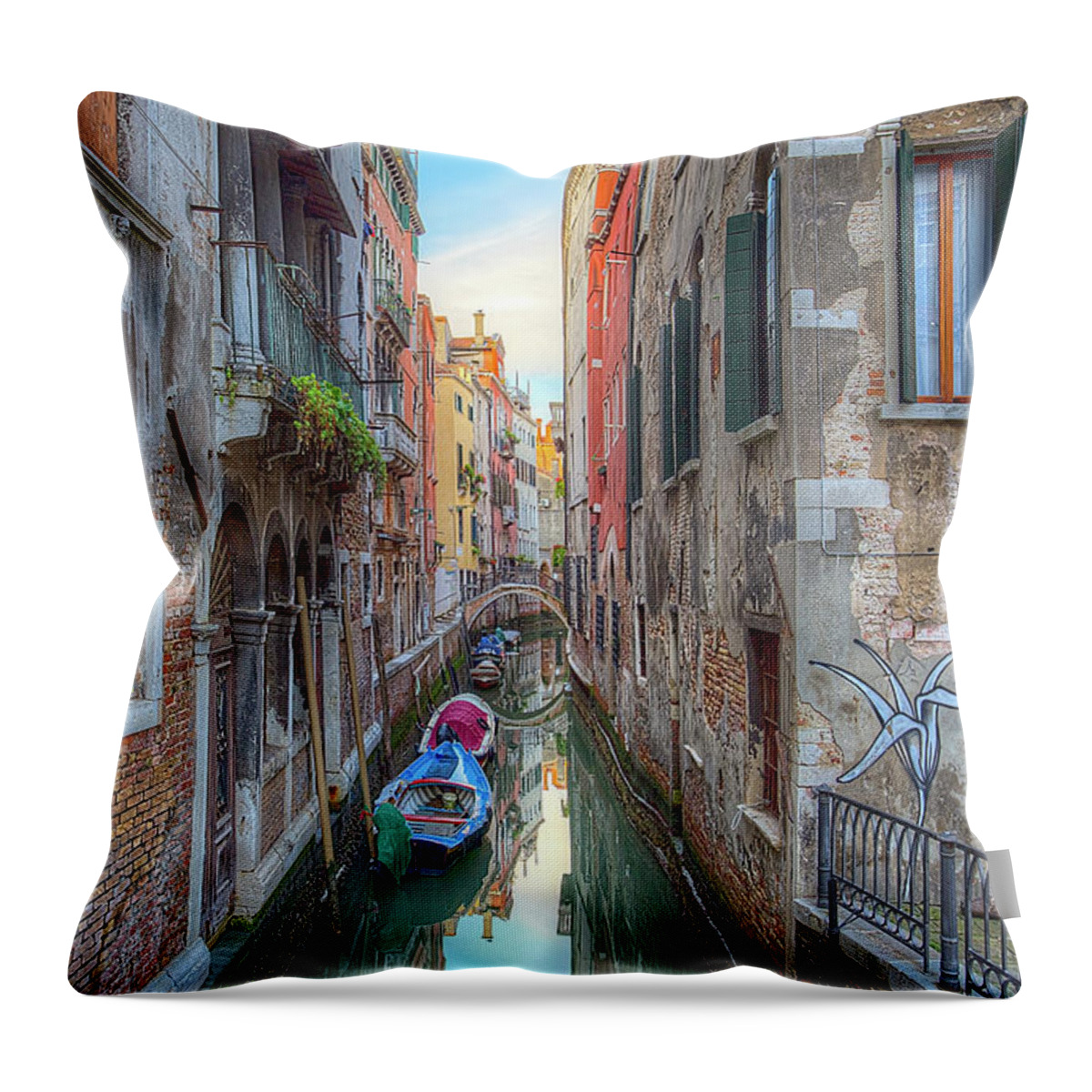Venice Throw Pillow featuring the photograph Venusian Textures by Peter Kennett