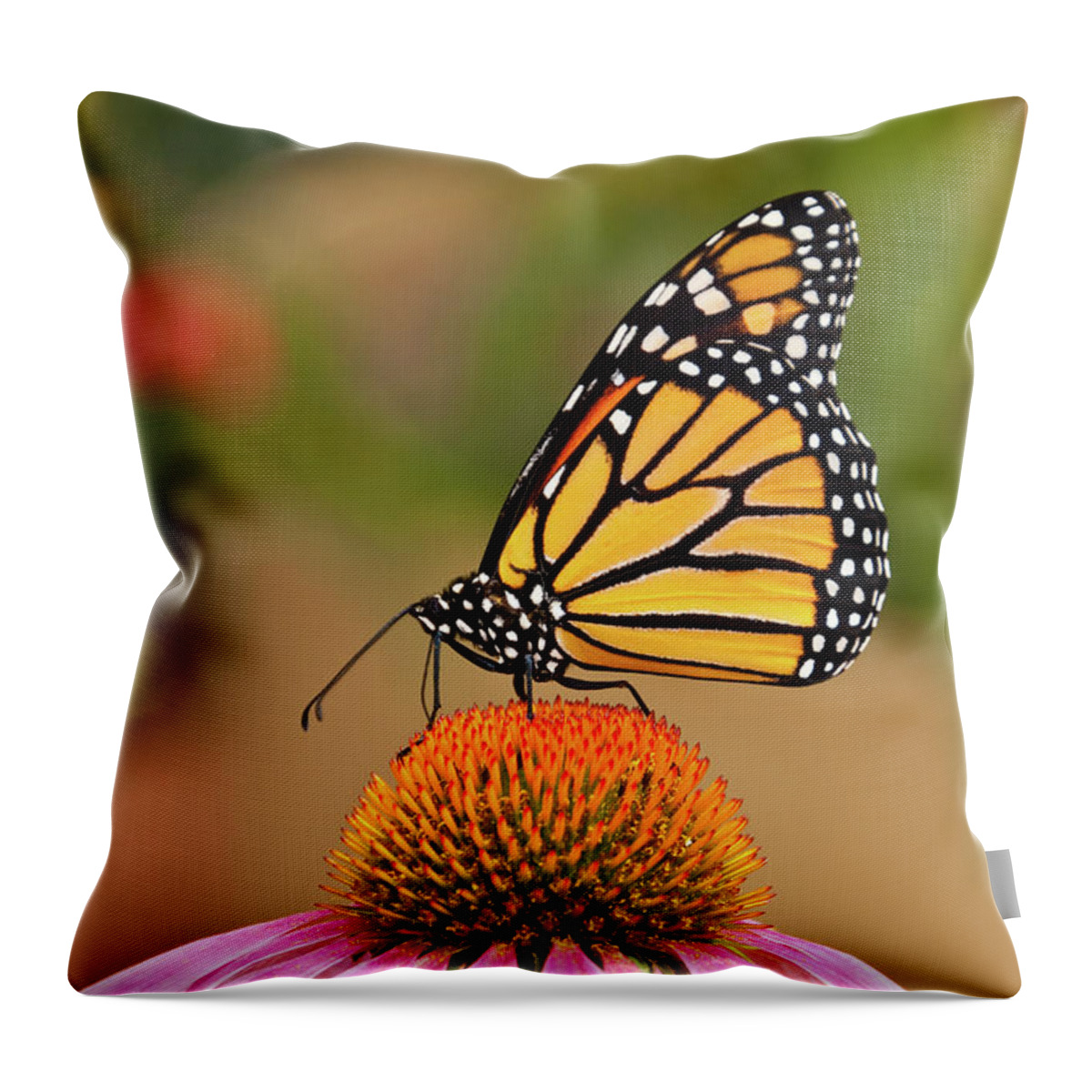 Animal Throw Pillow featuring the photograph Monarch Butterfly on a Purple Coneflower by Jeff Goulden