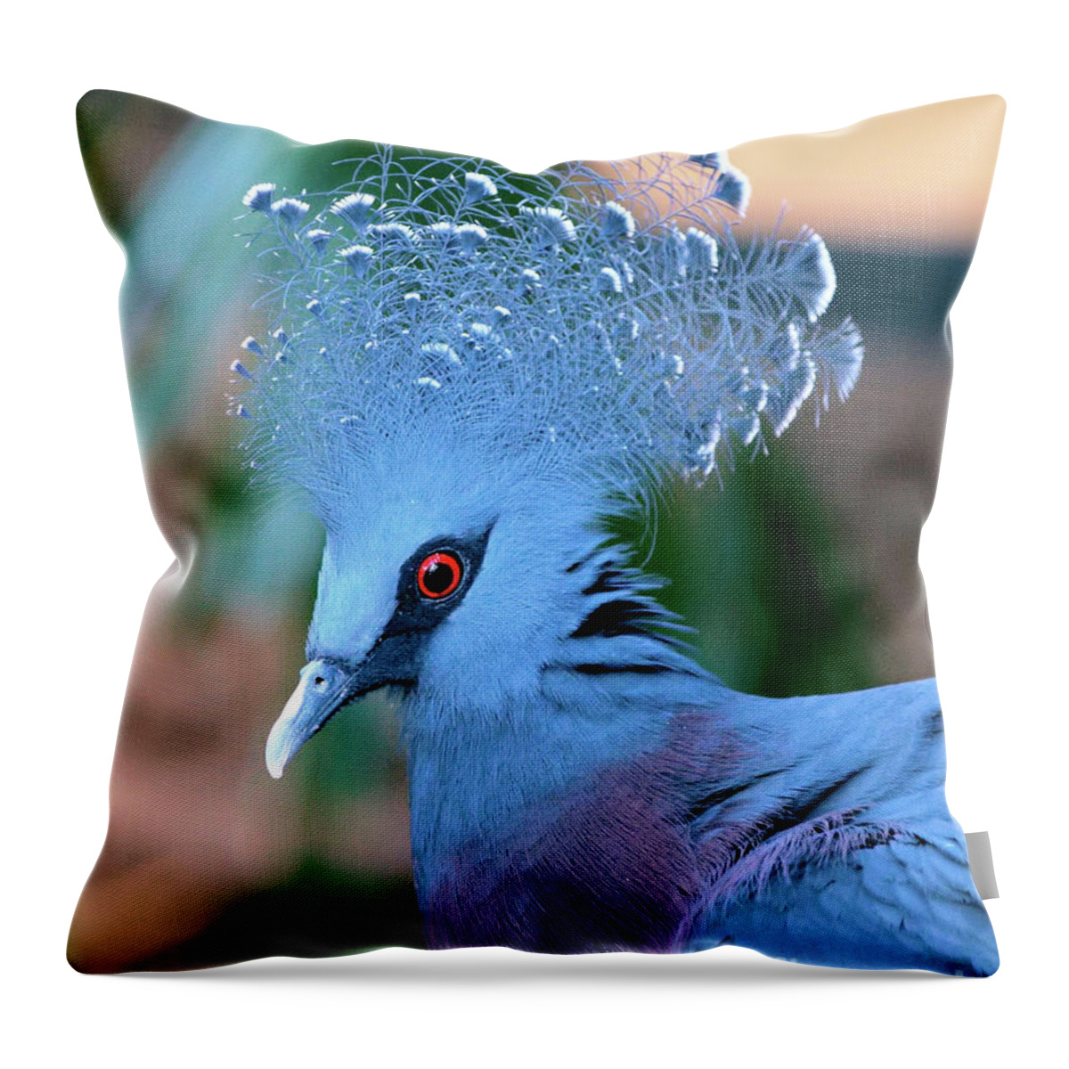 Portrait Throw Pillow featuring the photograph Victoria Crowned Pigeon by Baggieoldboy