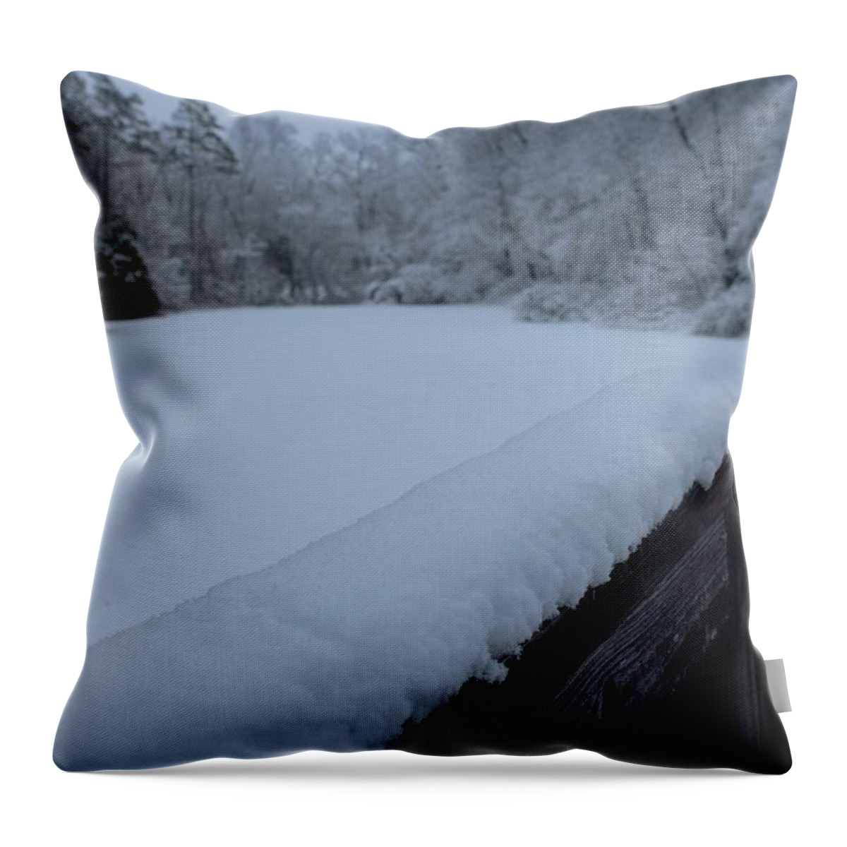 Rail Throw Pillow featuring the photograph View from Across the Rail by Ali Baucom