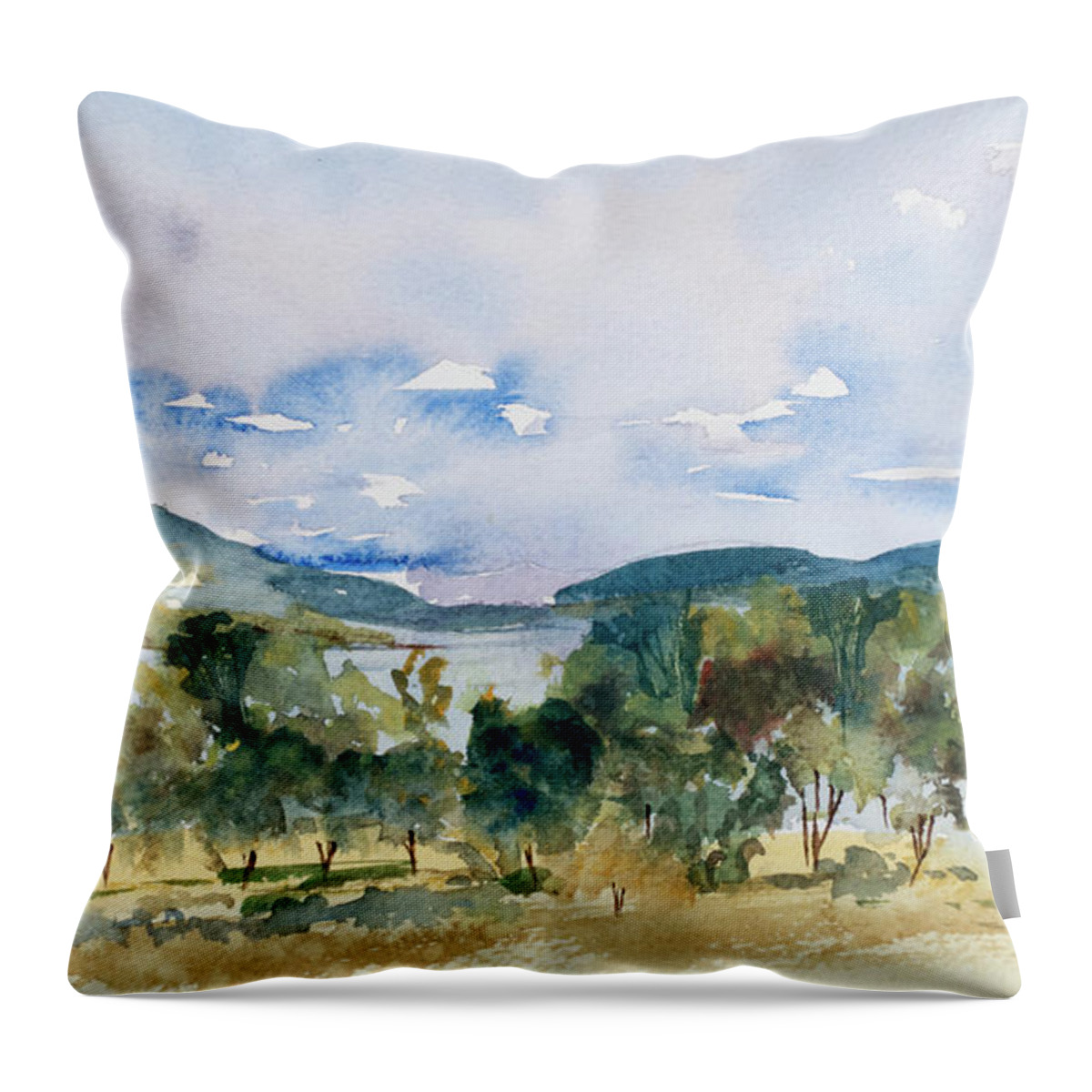 Australia Throw Pillow featuring the painting View of D'Entrecasteaux Channel from Birchs Bay, Tasmania by Dorothy Darden