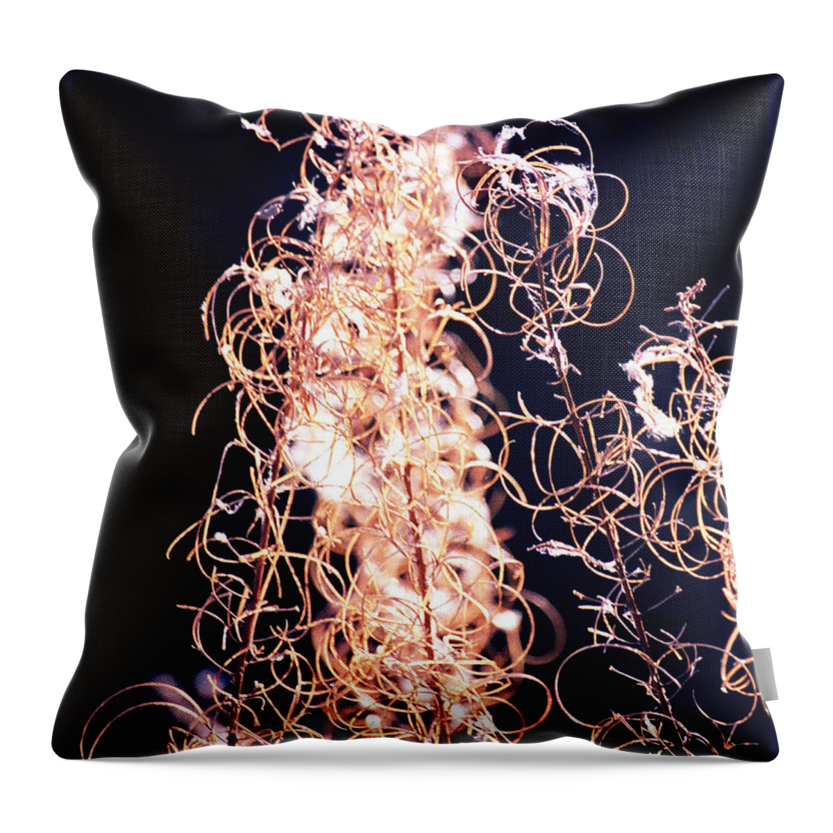 Vines Throw Pillow featuring the photograph Vine Circles and Light by Kae Cheatham