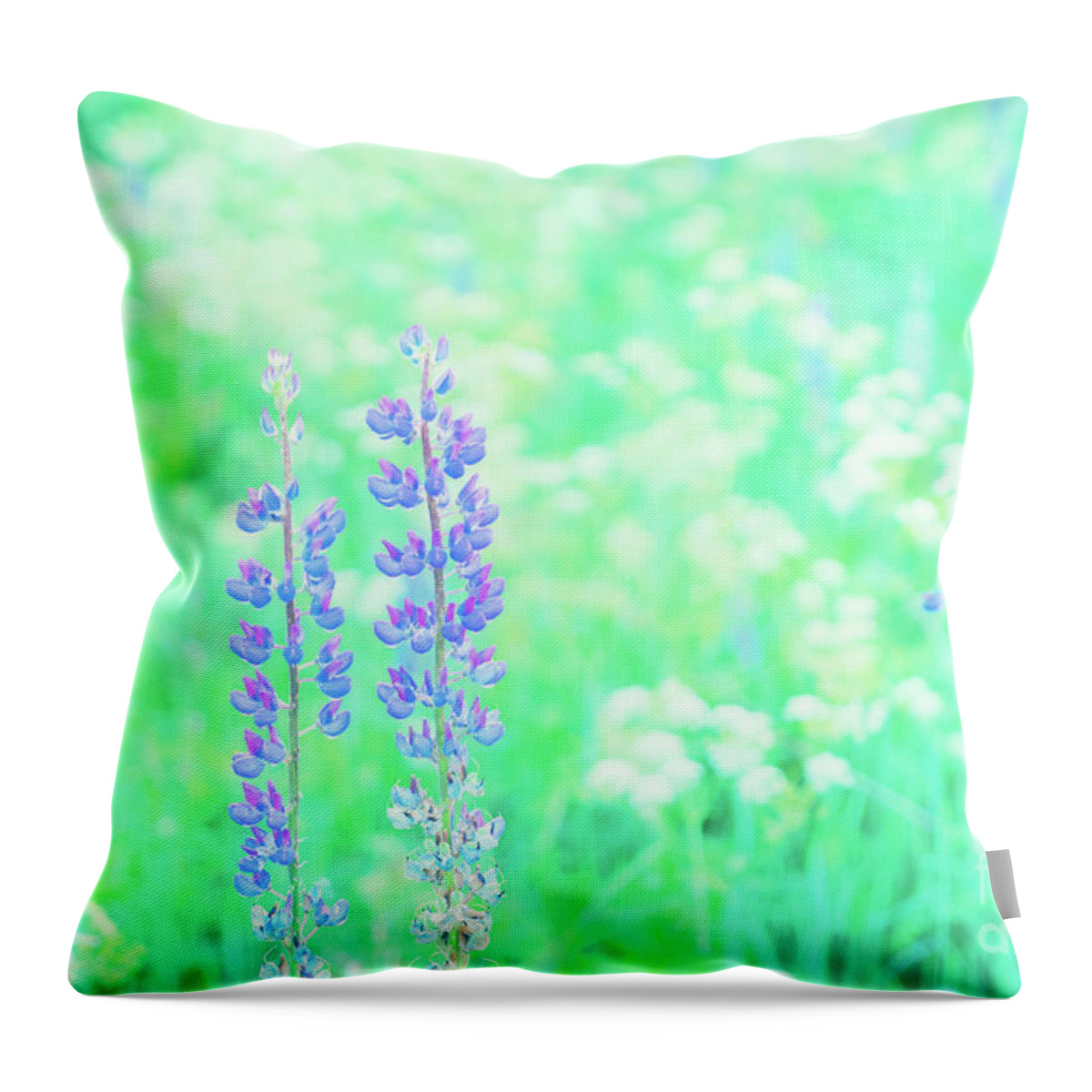 Forest Throw Pillow featuring the photograph Violet Lupine Lane by Anastasy Yarmolovich