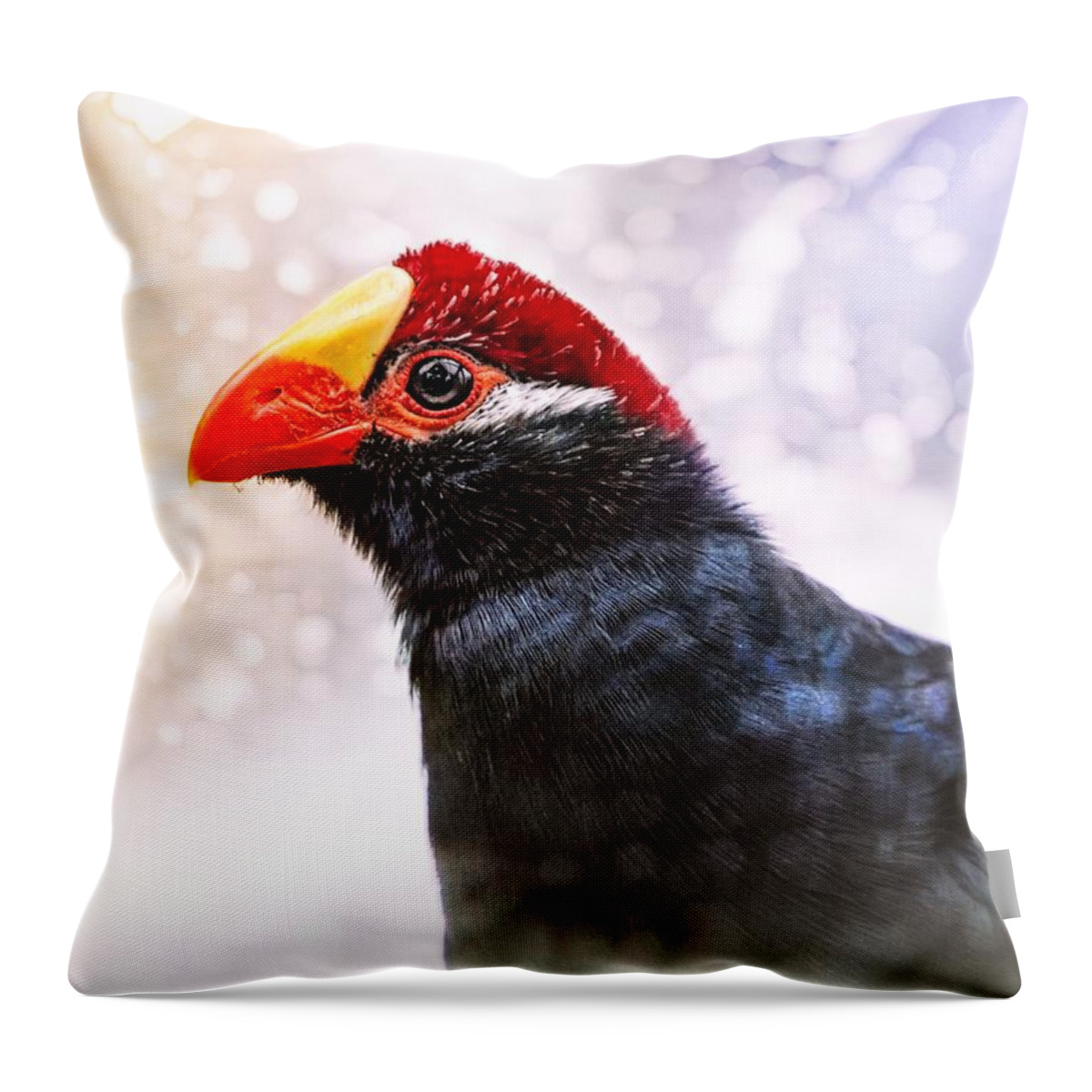 Violet Turaco Throw Pillow featuring the photograph Violet Turaco by Jaroslav Buna