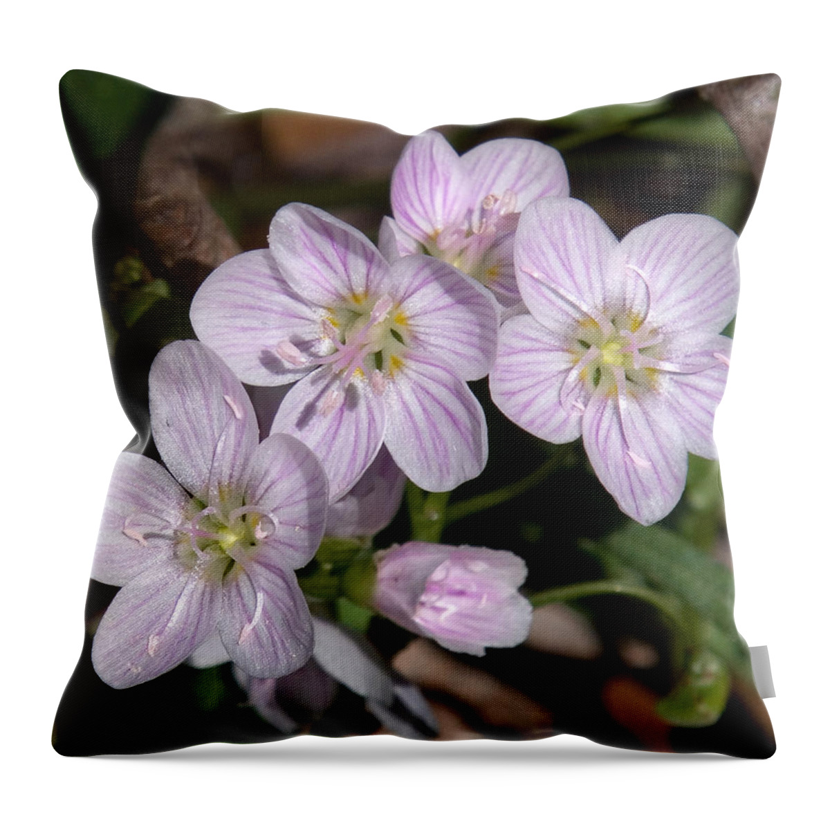 Spring Throw Pillow featuring the photograph Virginia or Narrowleaf Spring-Beauty DSPF041 by Gerry Gantt