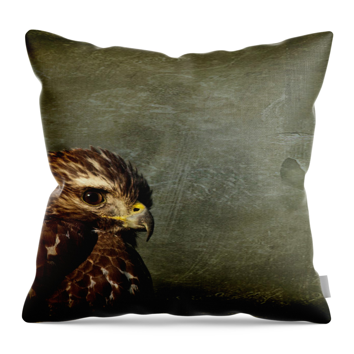 Osprey Throw Pillow featuring the photograph Visions of Solitude by Evelina Kremsdorf