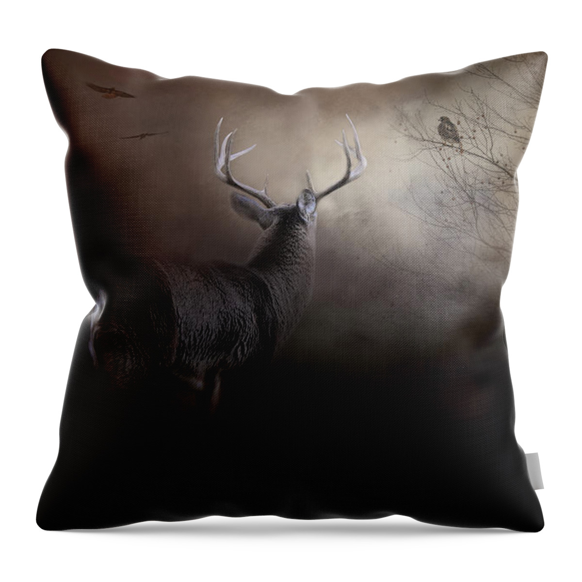 Jai Johnson Throw Pillow featuring the photograph Waiting For The Storm by Jai Johnson
