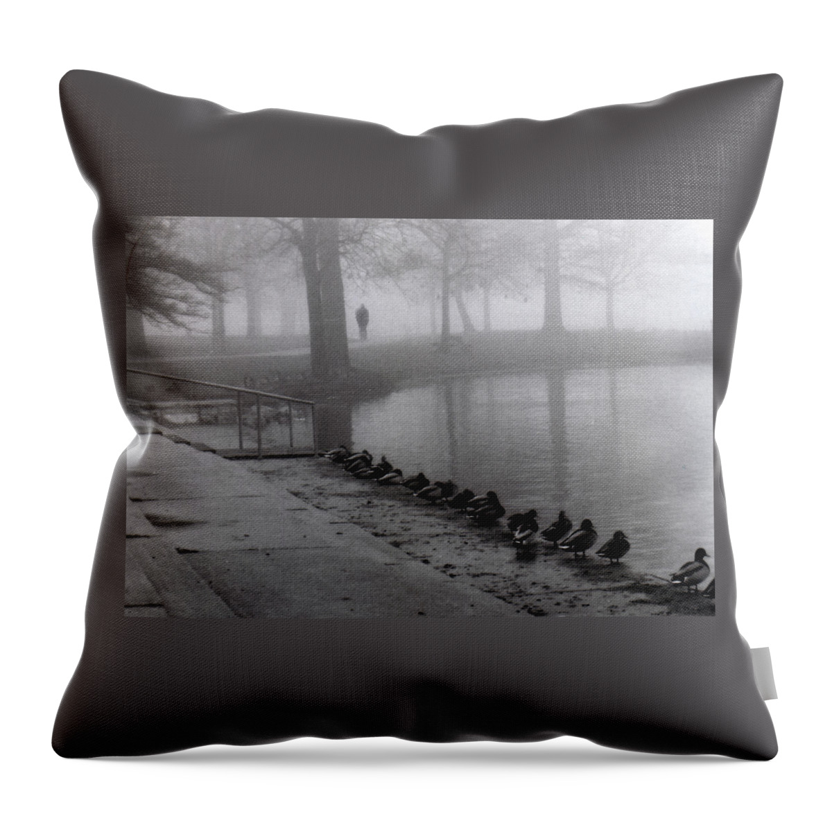 Fog Throw Pillow featuring the photograph Walk in the fog by Thomas Pipia