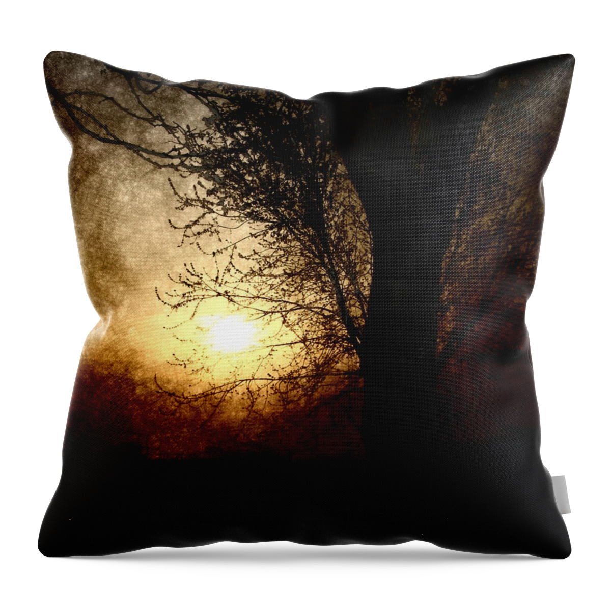 Landscape Throw Pillow featuring the photograph Walk Quietly Into the Night with Me. by Julie Lueders 