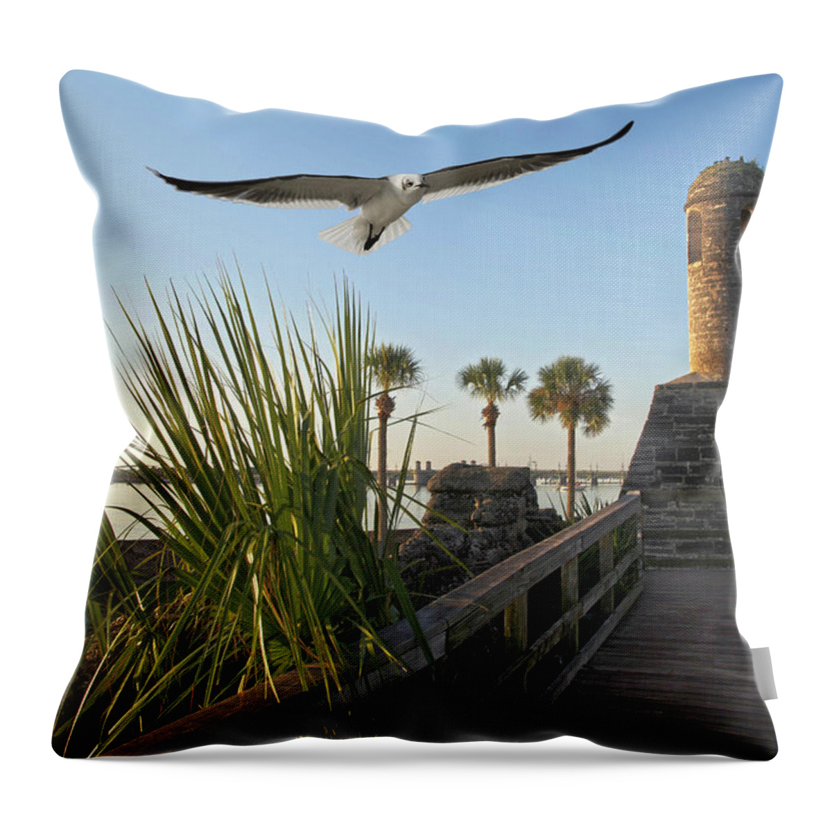 Spanish Throw Pillow featuring the photograph Walk To The Fort by Robert Och