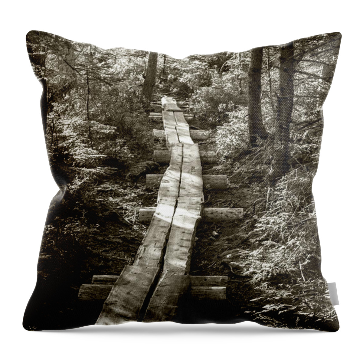 Path Throw Pillow featuring the photograph Walk With Me by Holly Ross