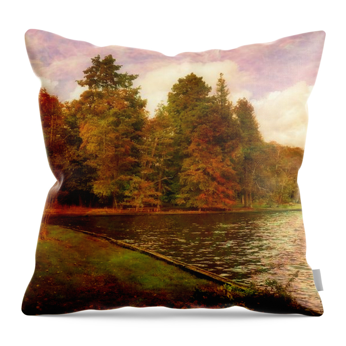 Nature Throw Pillow featuring the photograph Walking The Forest Trail by the lake by Stacie Siemsen
