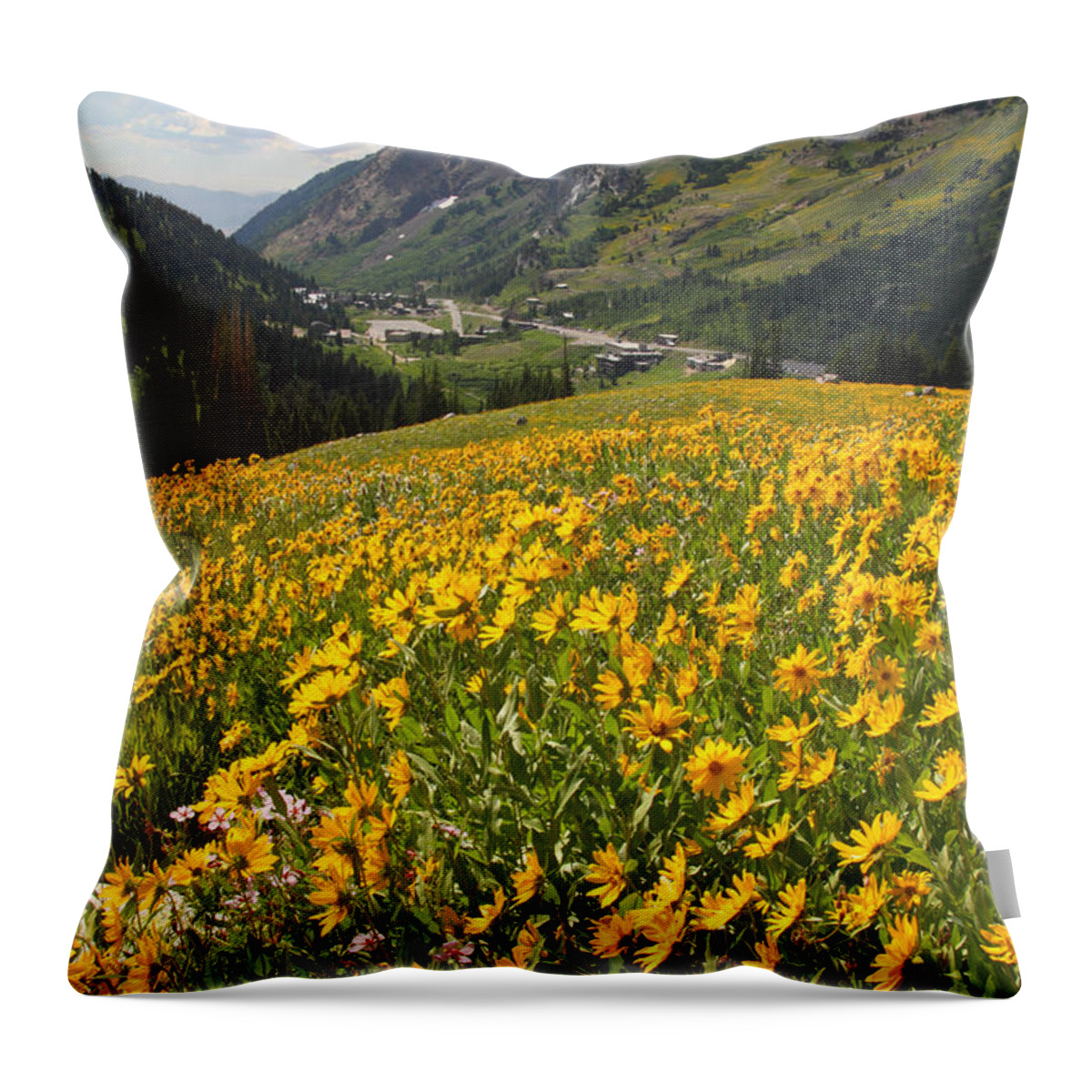 Landscape Throw Pillow featuring the photograph Wasatch Wildflowers by Brett Pelletier