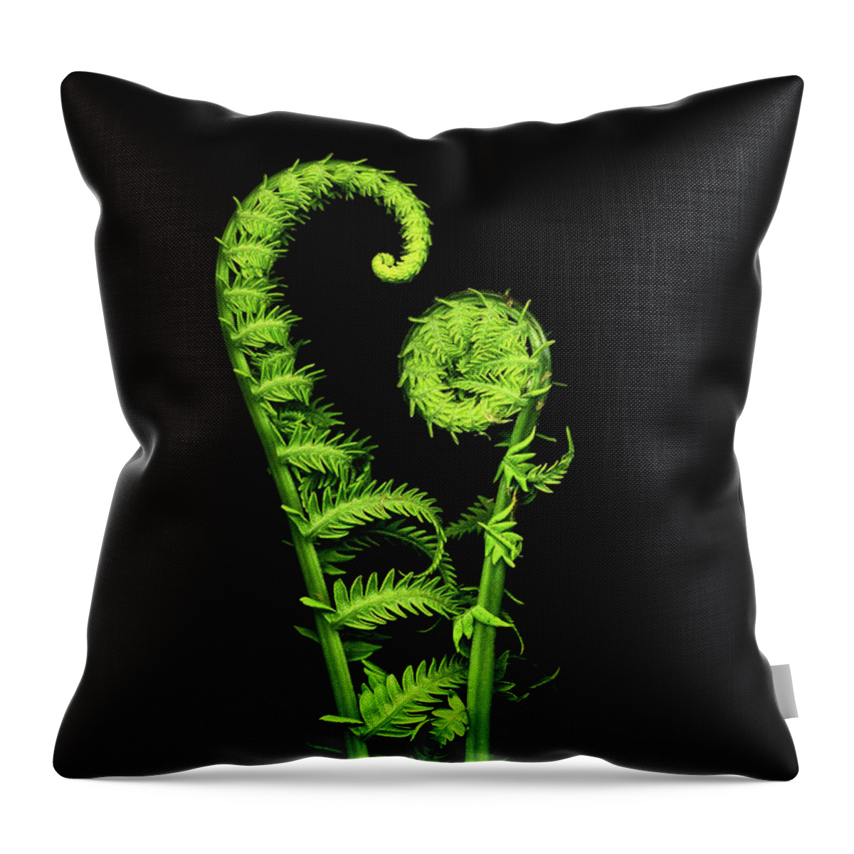 Fiddlehead Throw Pillow featuring the photograph Watching Over You by Patty Colabuono