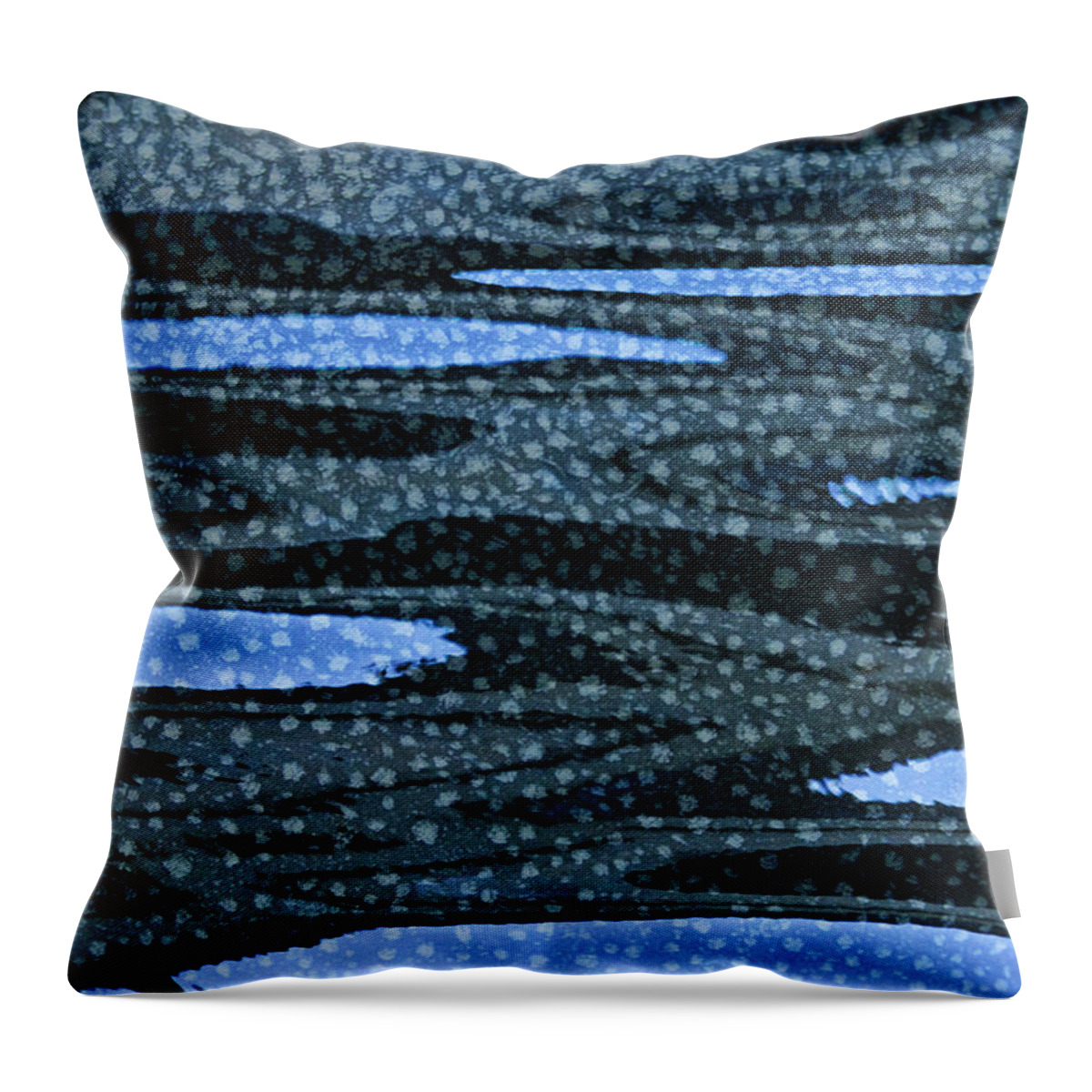 Water Throw Pillow featuring the photograph Water and Ice 2013-1 by Thomas Young