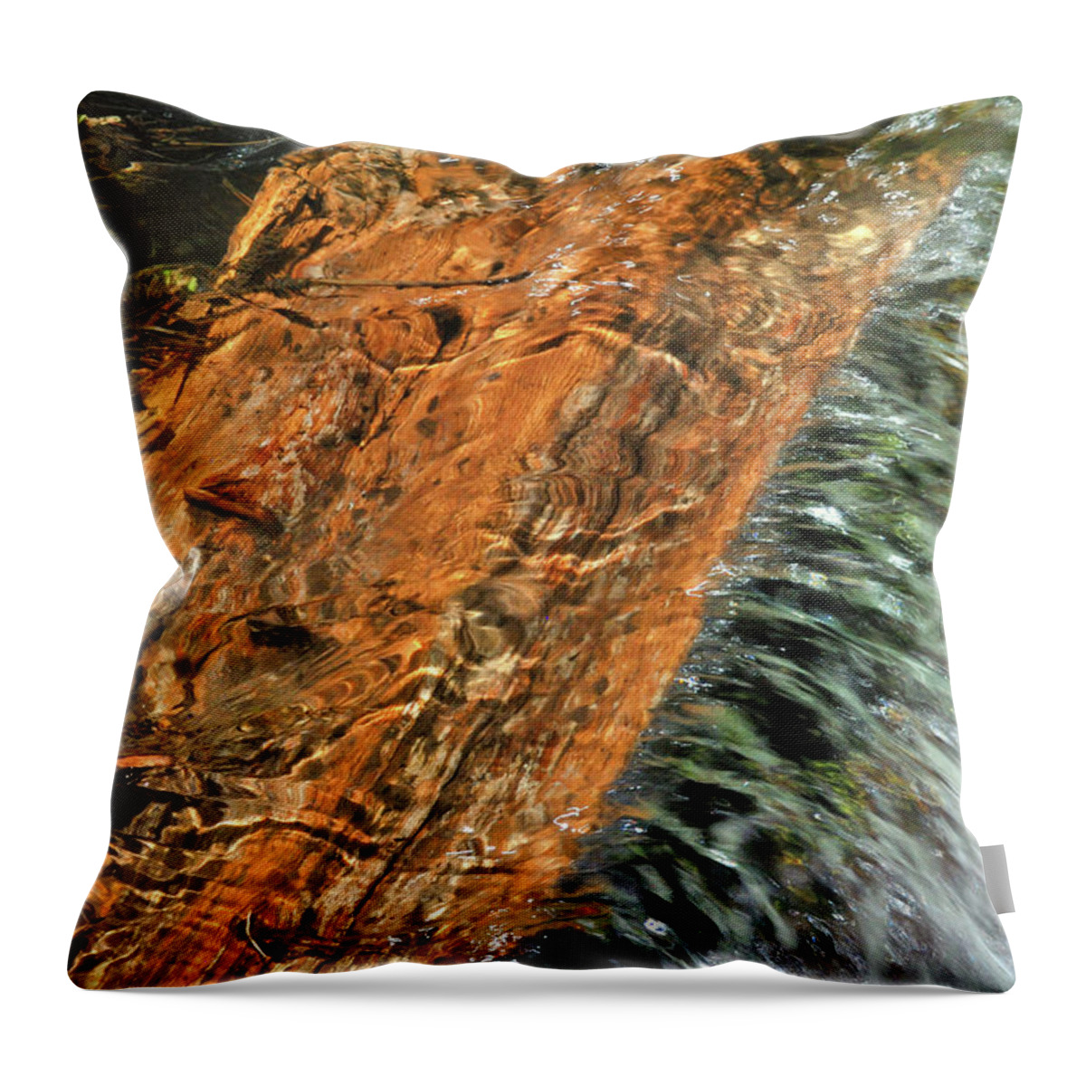 Nature Throw Pillow featuring the photograph Water And Wood by Ron Cline