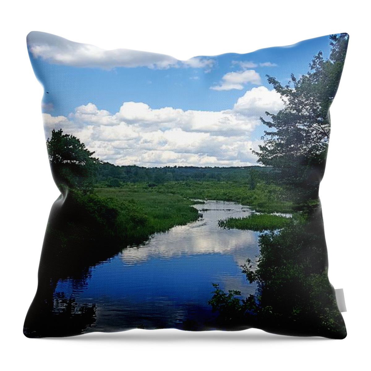 Reflections Throw Pillow featuring the photograph Water and Woods in Warren by Dani McEvoy