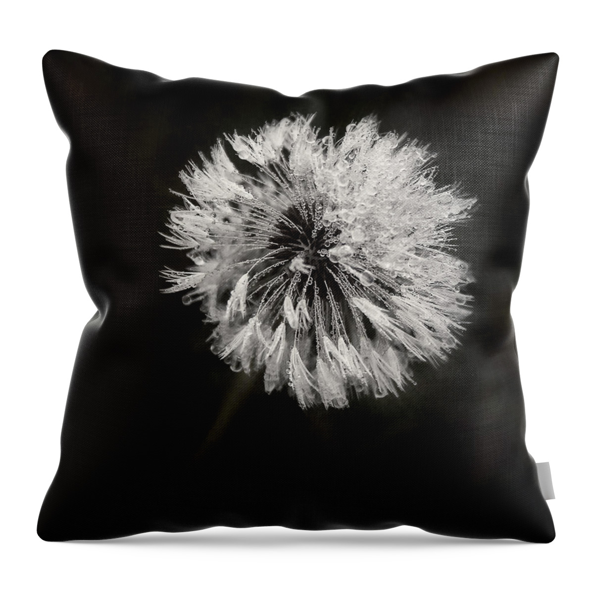 Dandelion Flower Throw Pillow featuring the photograph Water Drops on Dandelion Flower by Scott Norris