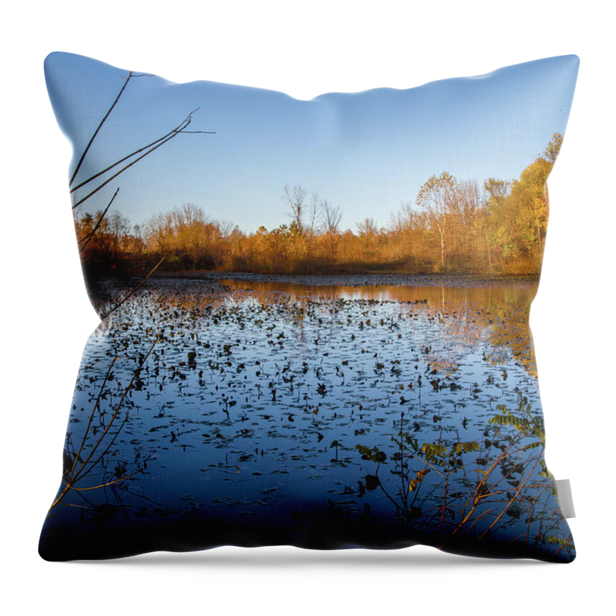 Water Lily Throw Pillow featuring the photograph Water Lily Evening Serenade by Lon Dittrick