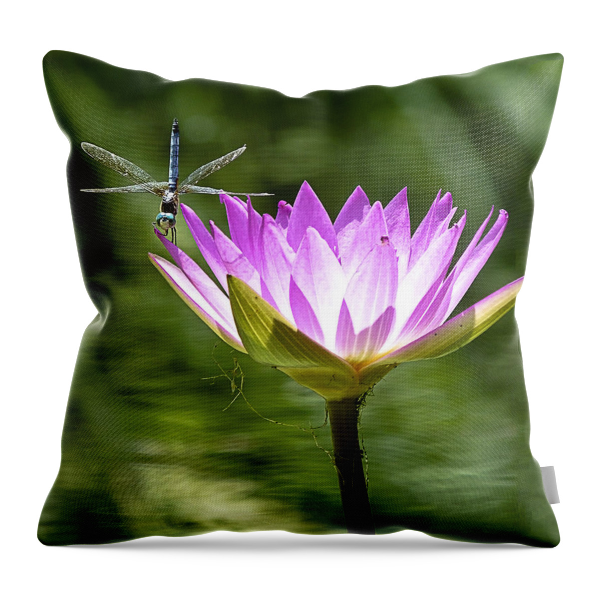 Water Lily Throw Pillow featuring the photograph Water Lily with Dragon Fly by Bill Barber