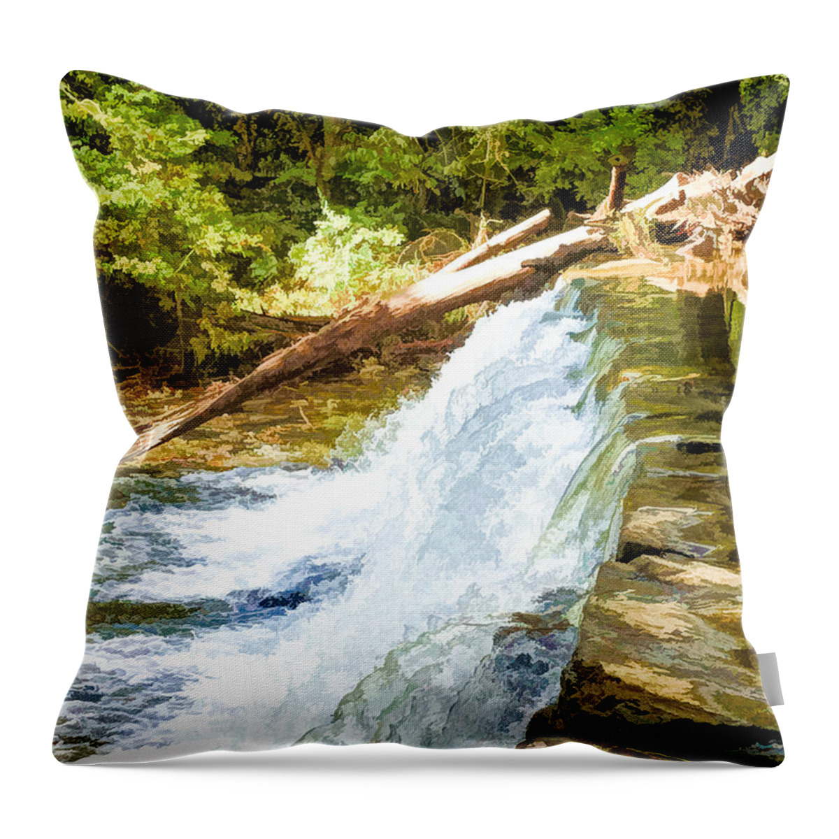 Water Throw Pillow featuring the photograph Waterfall in Swarthmore PA by Richard Goldman