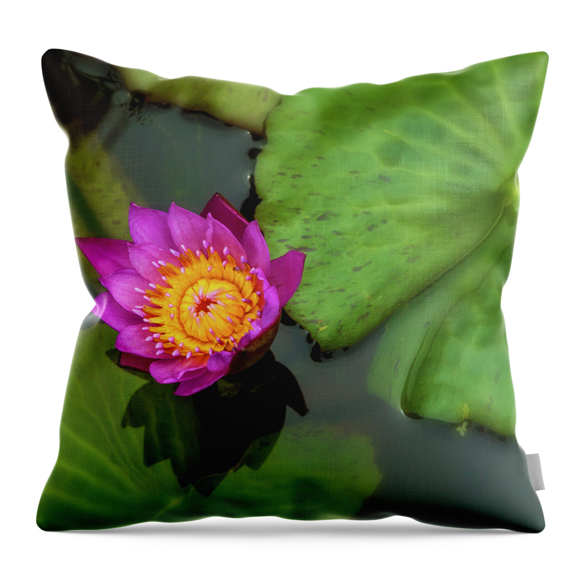 Nature Throw Pillow featuring the photograph Waterlily 5 by Jonathan Nguyen