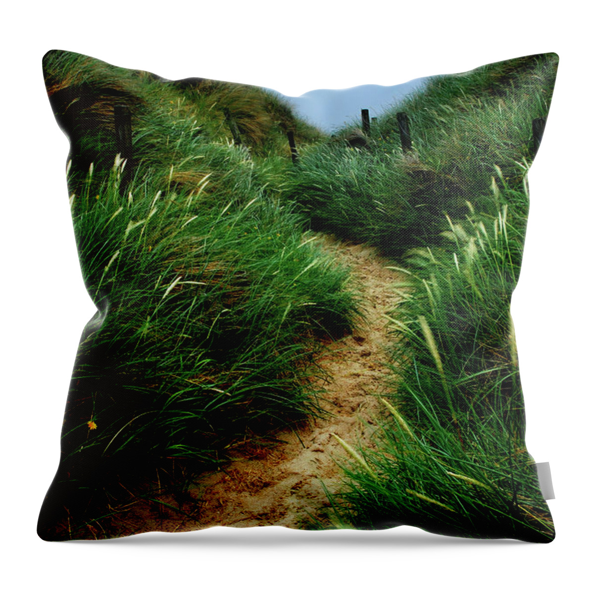 Beach Throw Pillow featuring the photograph Way Through The Dunes by Hannes Cmarits