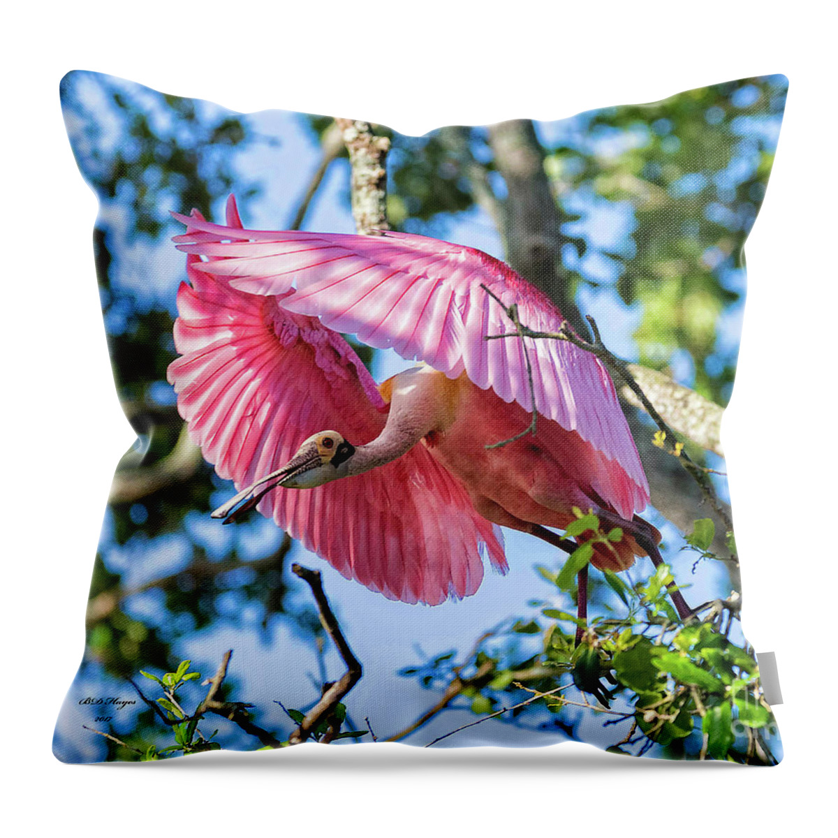 Spoonbills Throw Pillow featuring the photograph We Have Lift Off by DB Hayes