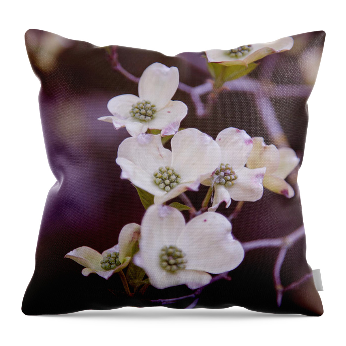 Bellingham Throw Pillow featuring the photograph Wedding White Dogwood by Judy Wright Lott