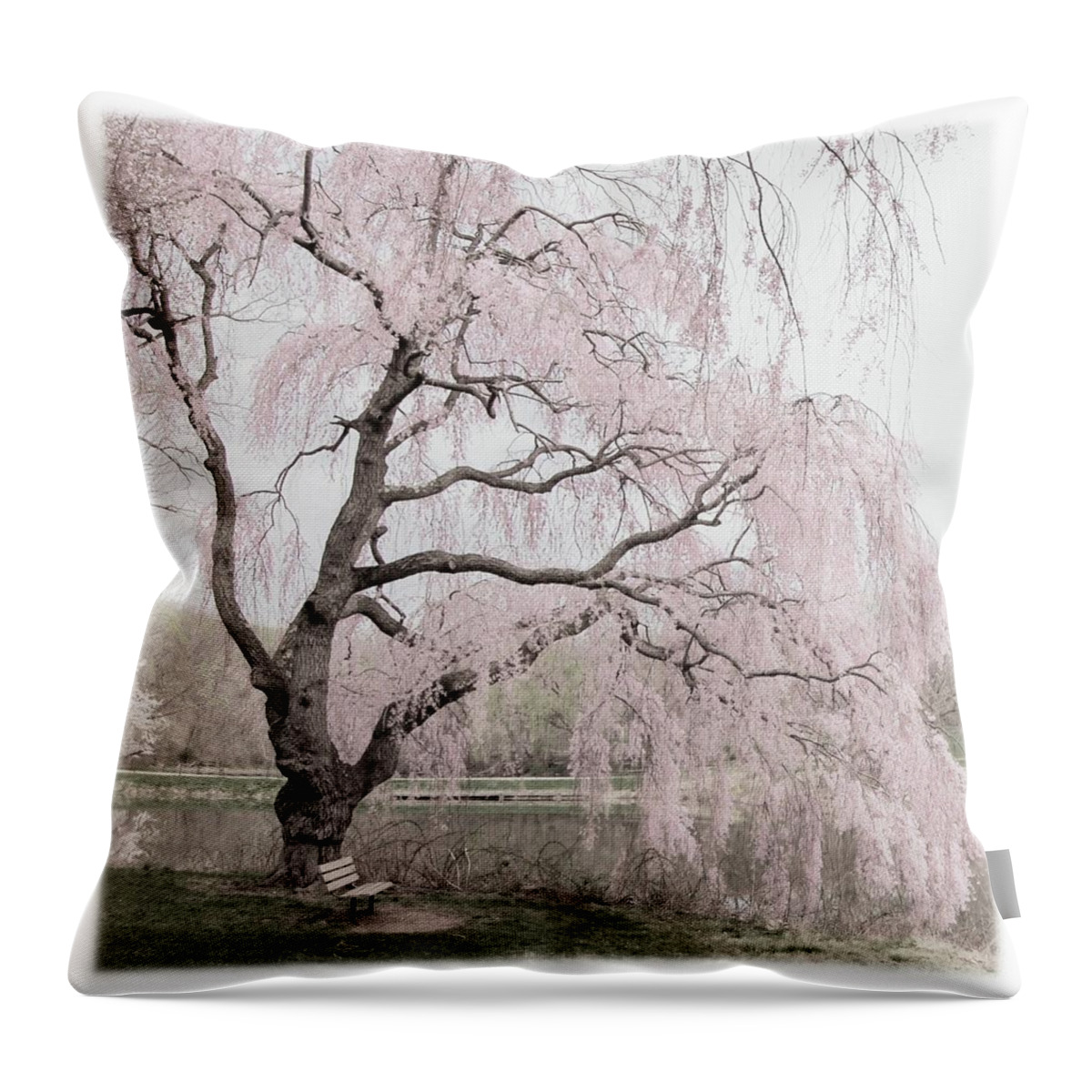 Cherry Blossom Trees Throw Pillow featuring the photograph Weeping Spring 2 - Holmdel Park by Angie Tirado