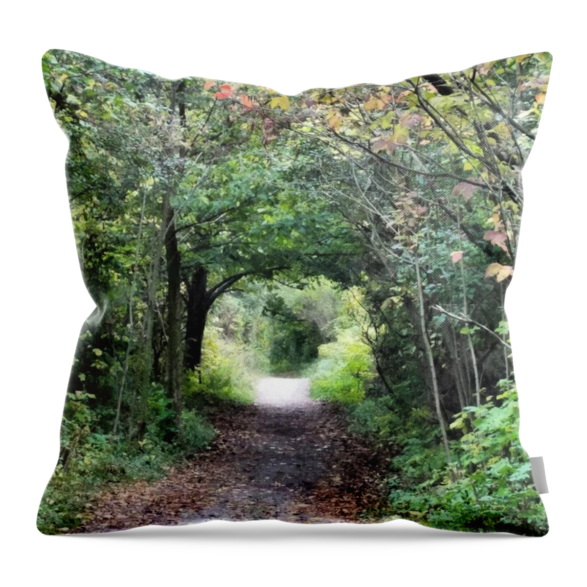 Path Throw Pillow featuring the photograph Welcome to the Wooded Path by Vic Ritchey