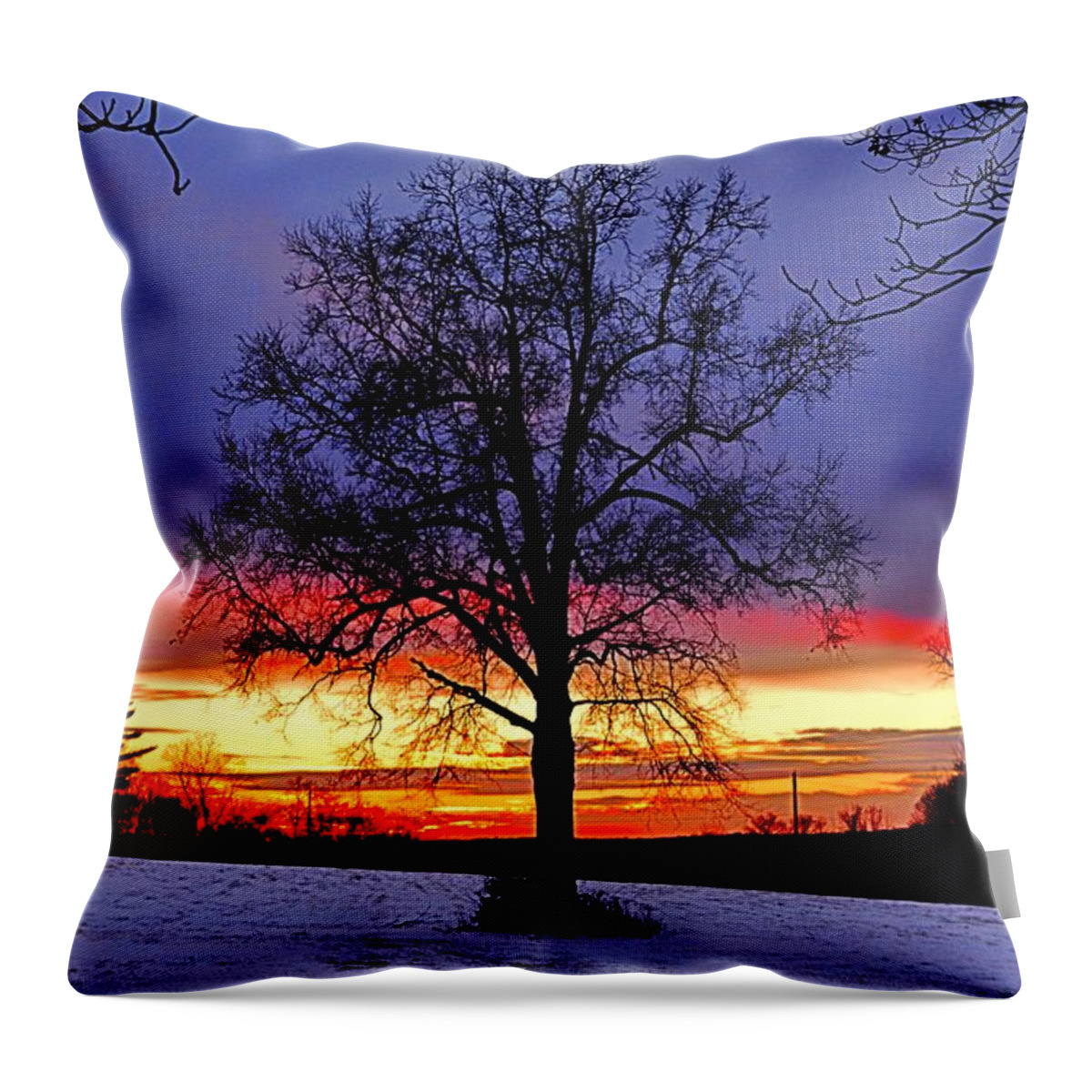 Sunset Throw Pillow featuring the photograph West by Dani McEvoy