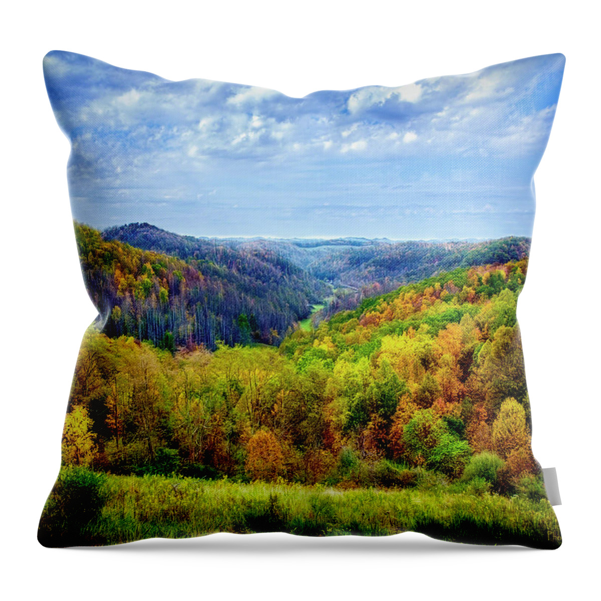 West Virginia Throw Pillow featuring the photograph West Virginia by Mark Allen