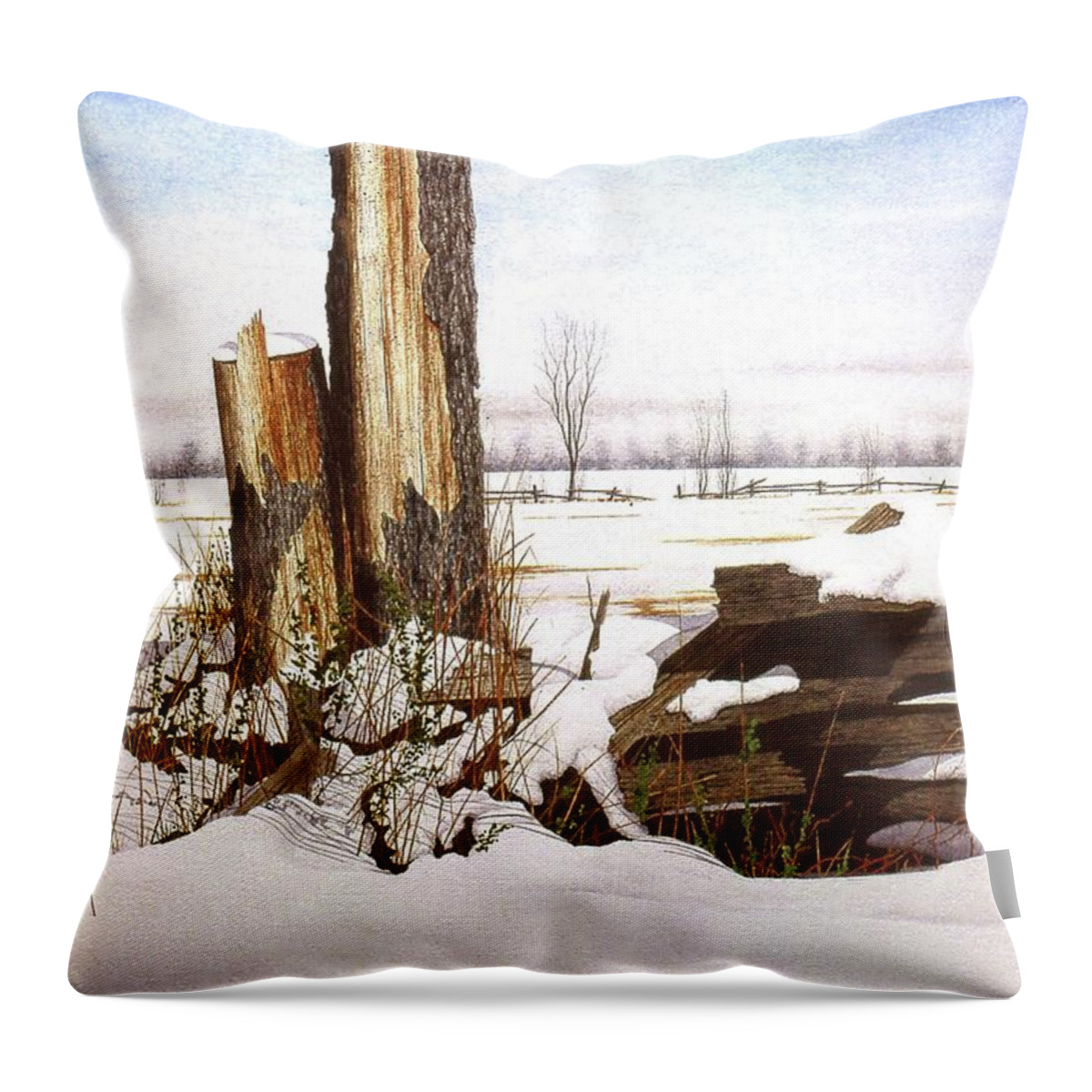 Snow Throw Pillow featuring the painting Wet Snow by Conrad Mieschke