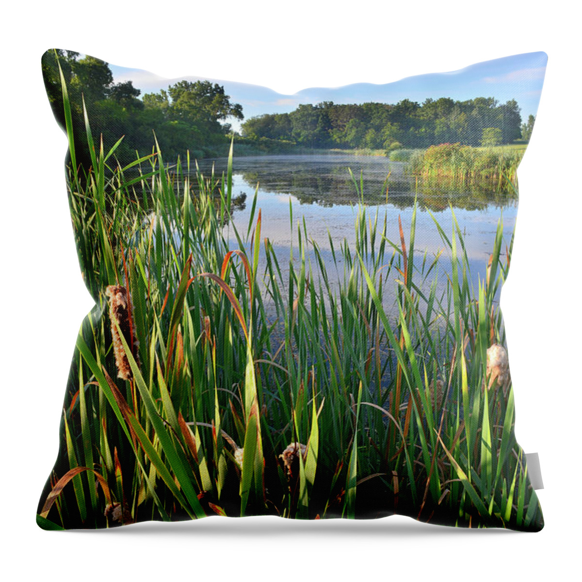 Volo Bog Natural Area Throw Pillow featuring the photograph Wetland along Sullivan Lake Road by Ray Mathis