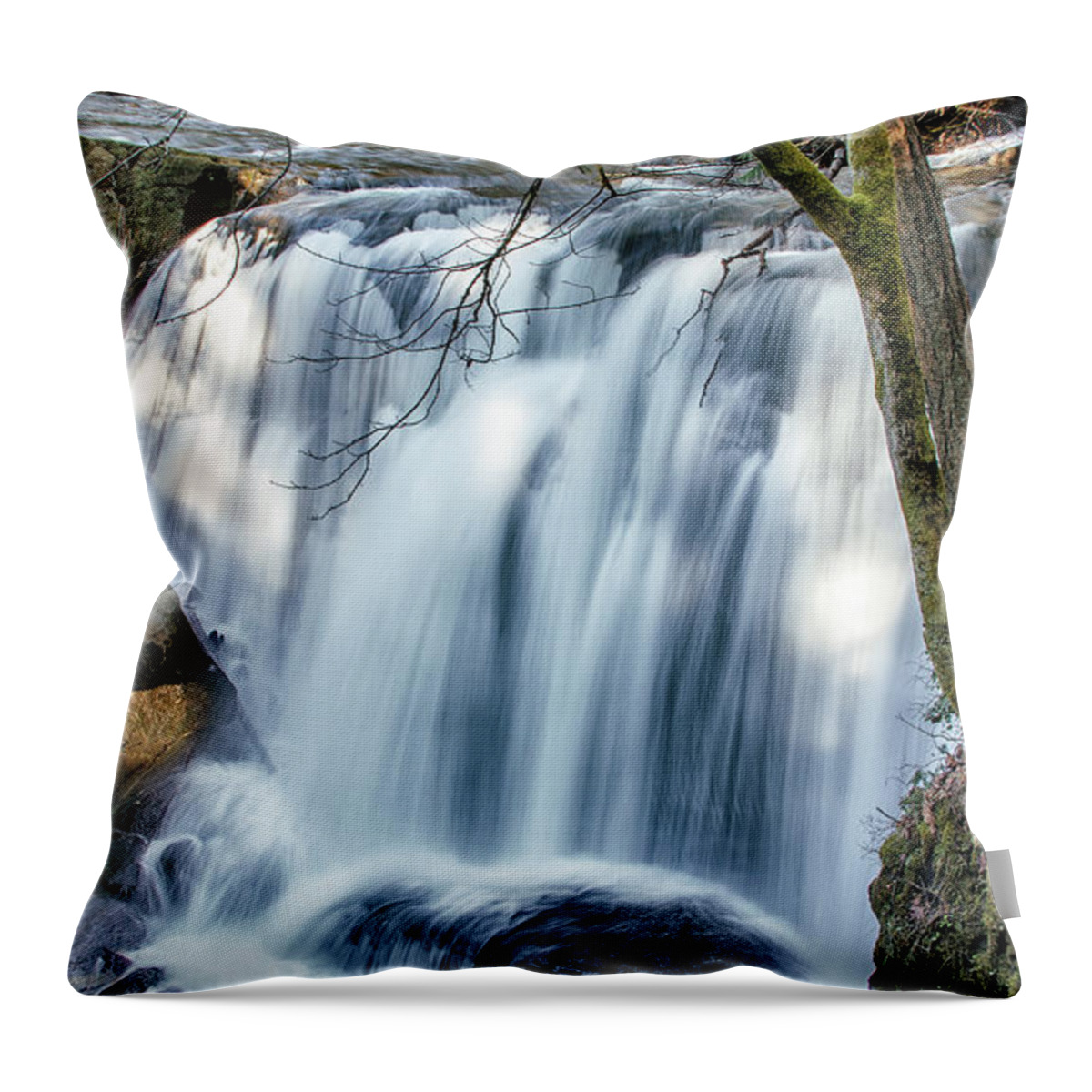 Whatcom Falls Throw Pillow featuring the photograph Whatcom Falls by Tony Locke