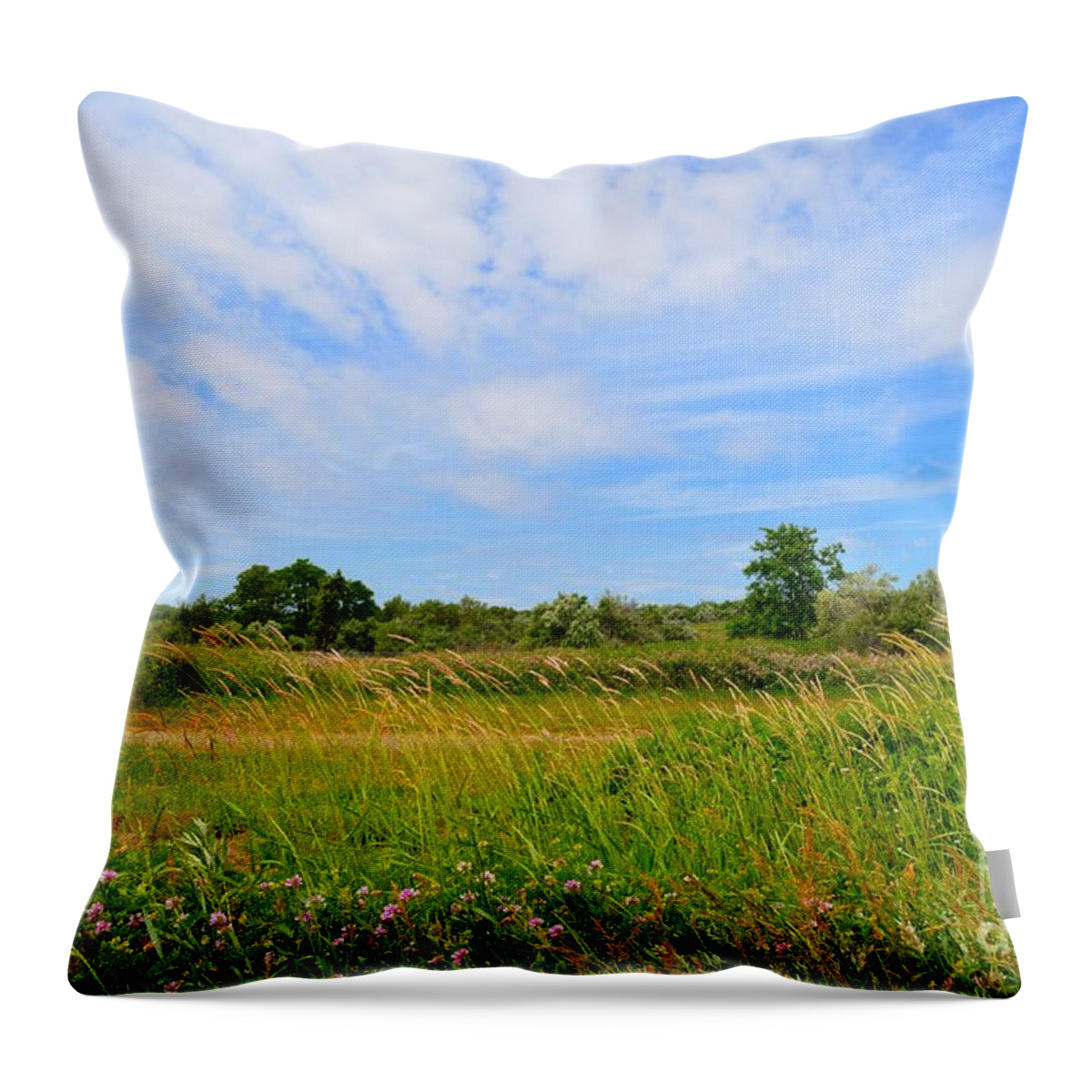 Landscape Throw Pillow featuring the photograph Where Birds Fly by Dani McEvoy