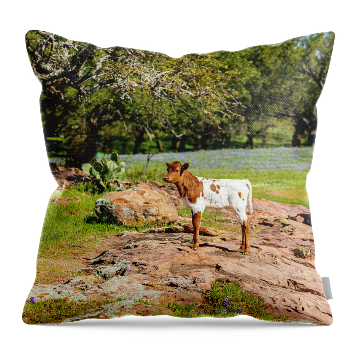 African Breed Throw Pillow featuring the photograph Where's My Mother? by Raul Rodriguez