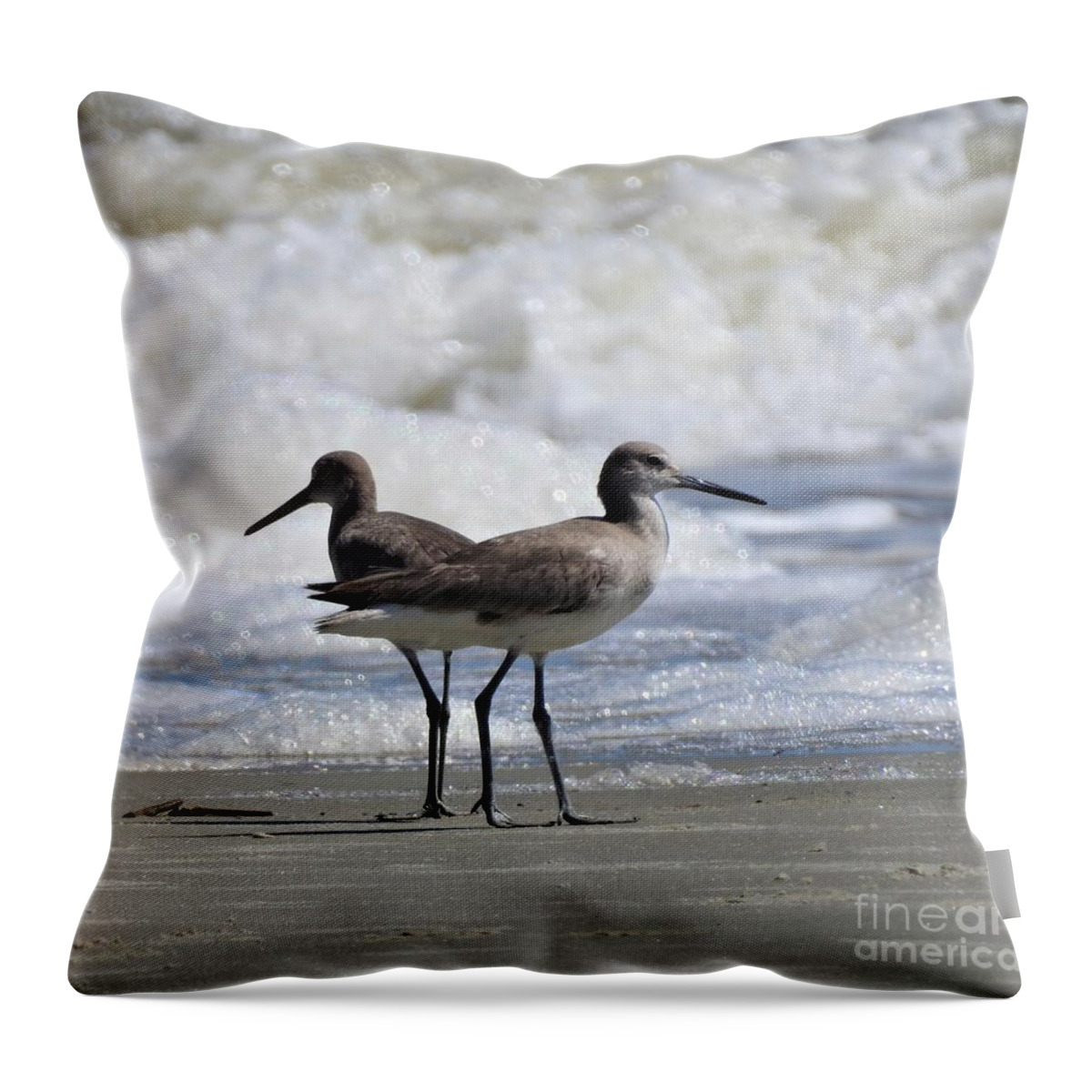 Coastal Throw Pillow featuring the photograph Which Way by Jan Gelders