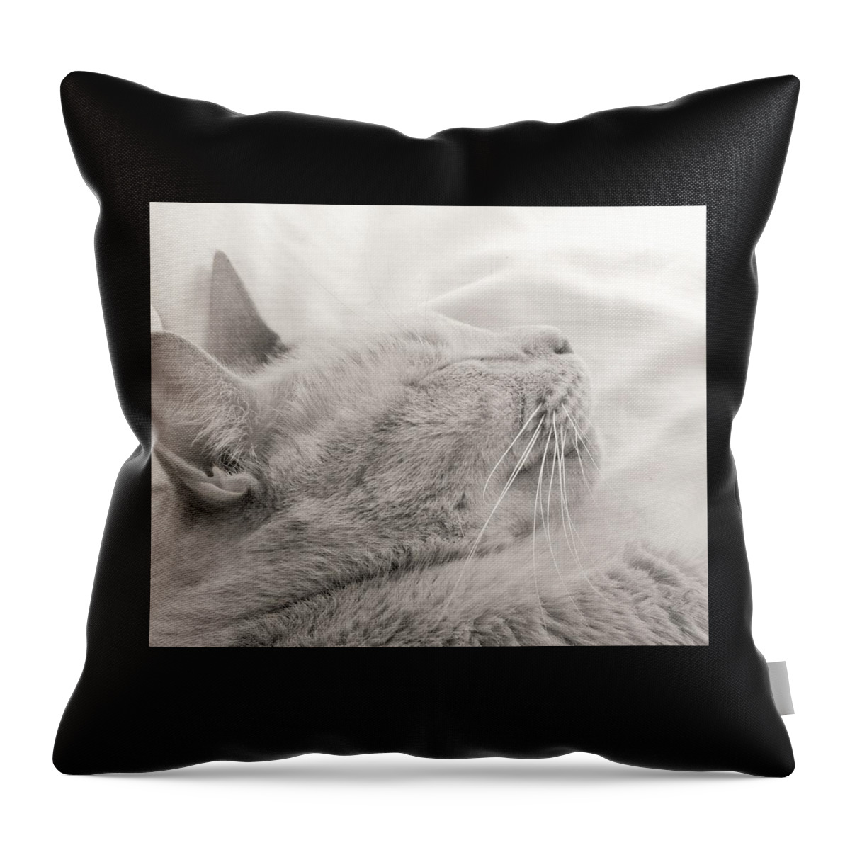 Whiskers Throw Pillow featuring the photograph Whisker Portrait by Jan Gelders