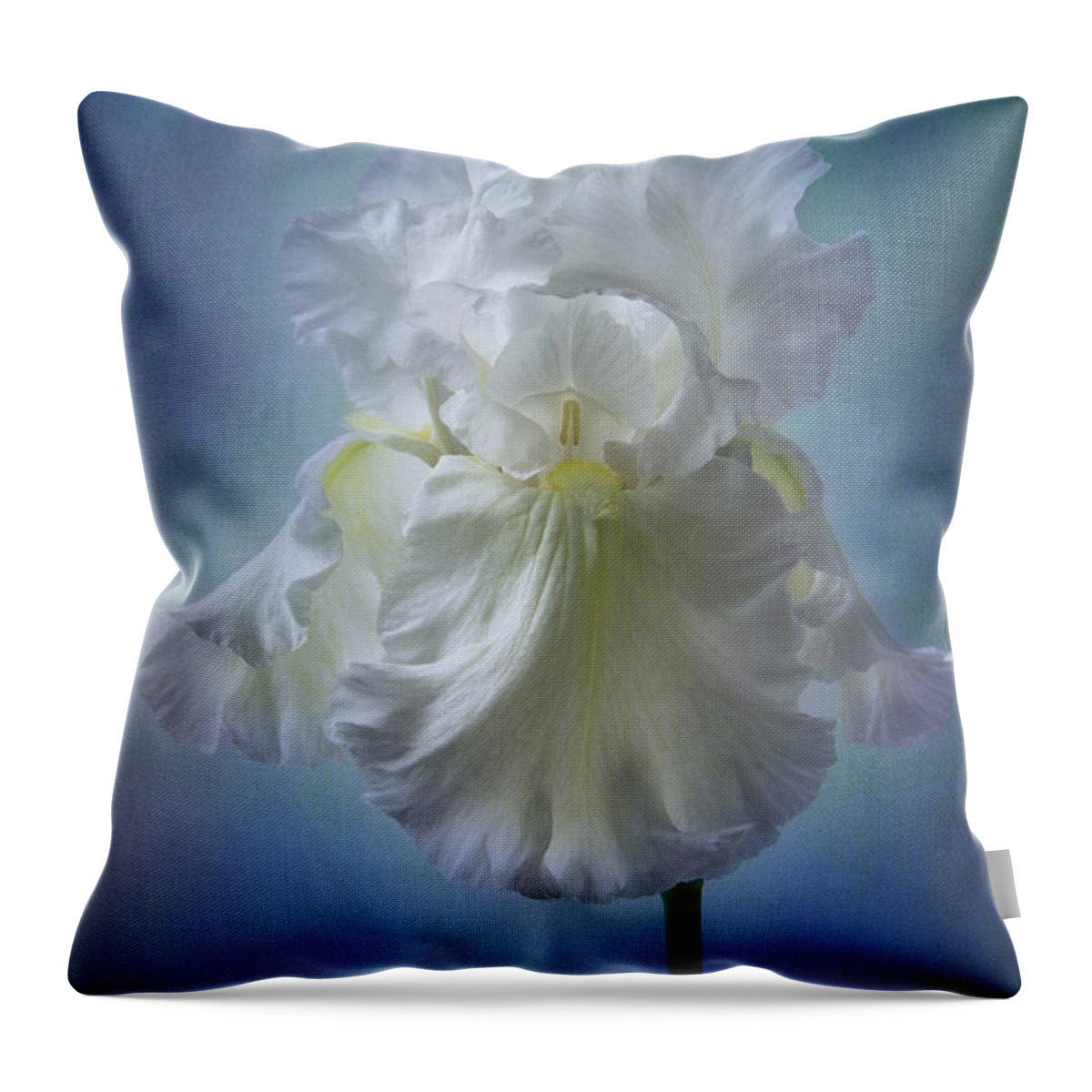 White Iris Throw Pillow featuring the photograph White Bianca by Marina Kojukhova