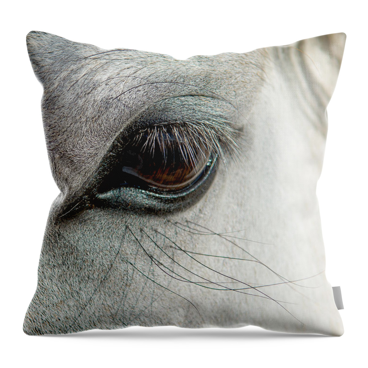 Horse Throw Pillow featuring the photograph White Horse Eye by Andreas Berthold